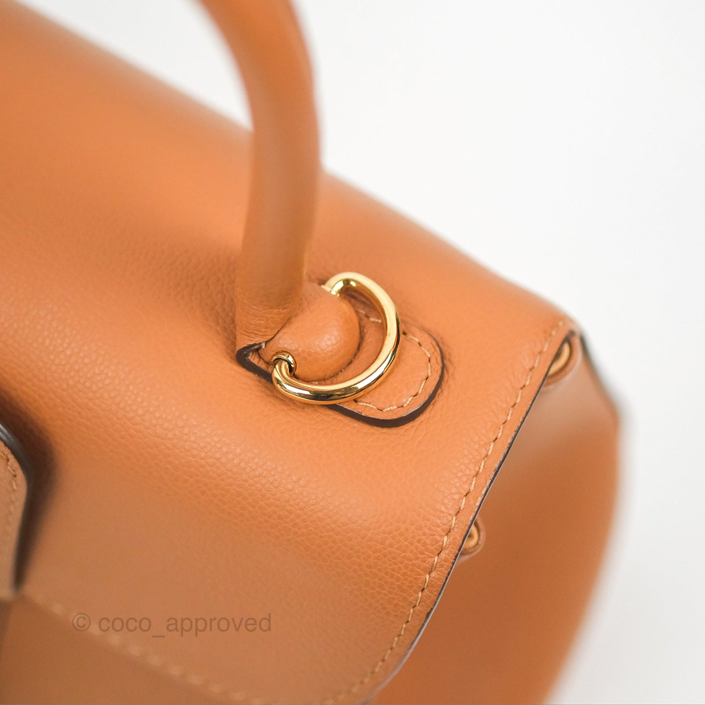 Delvaux Mini Brillant Bag Vegetal Rodeo Calf Gold Hardware