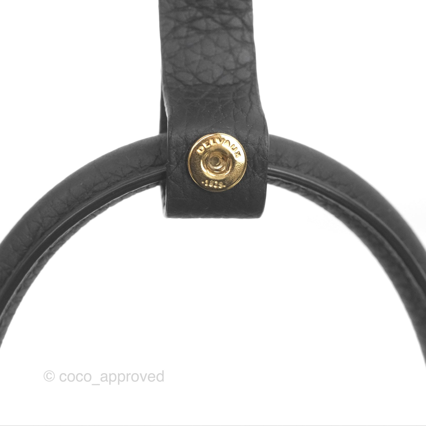 Delvaux Cool Box Nano Taurillon Soft Grained Calfskin Black Gold Hardware