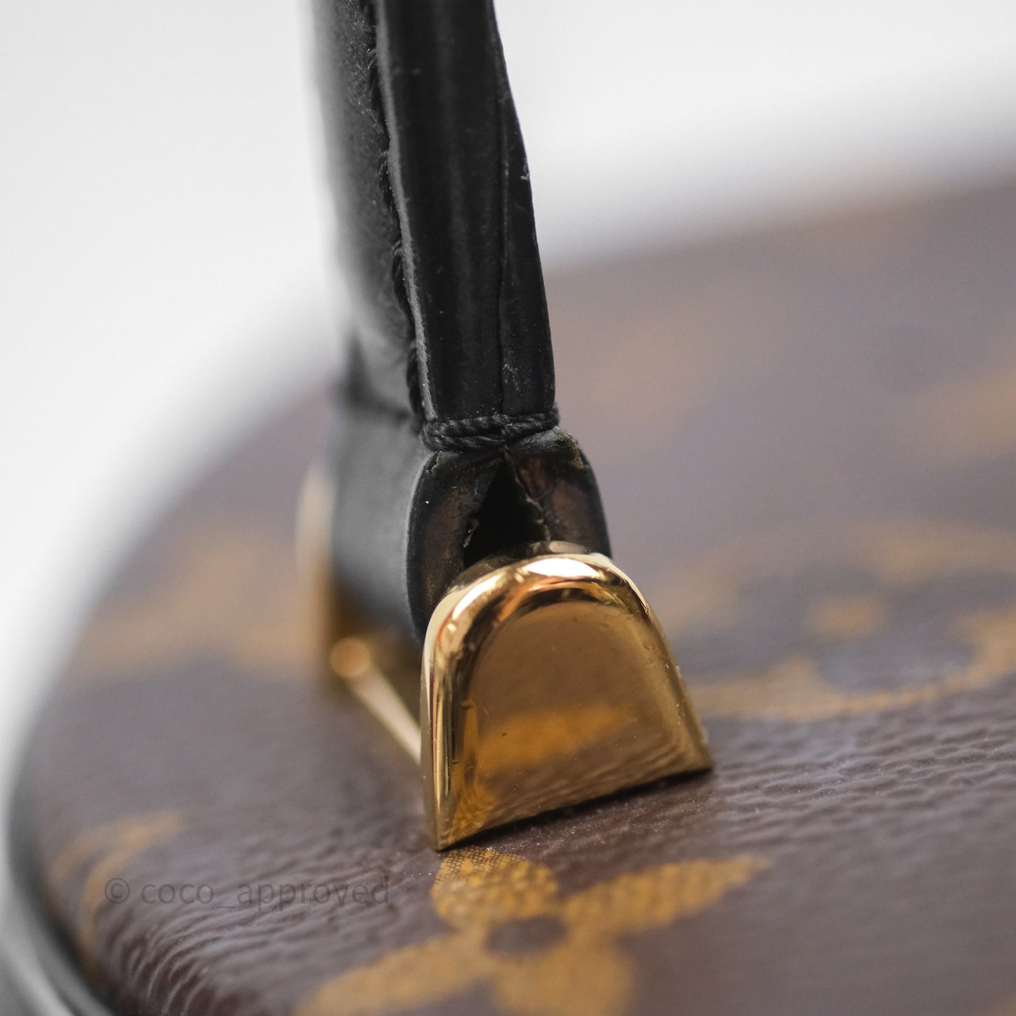 Louis Vuitton Monogram Canvas Reverse Cannes Bag