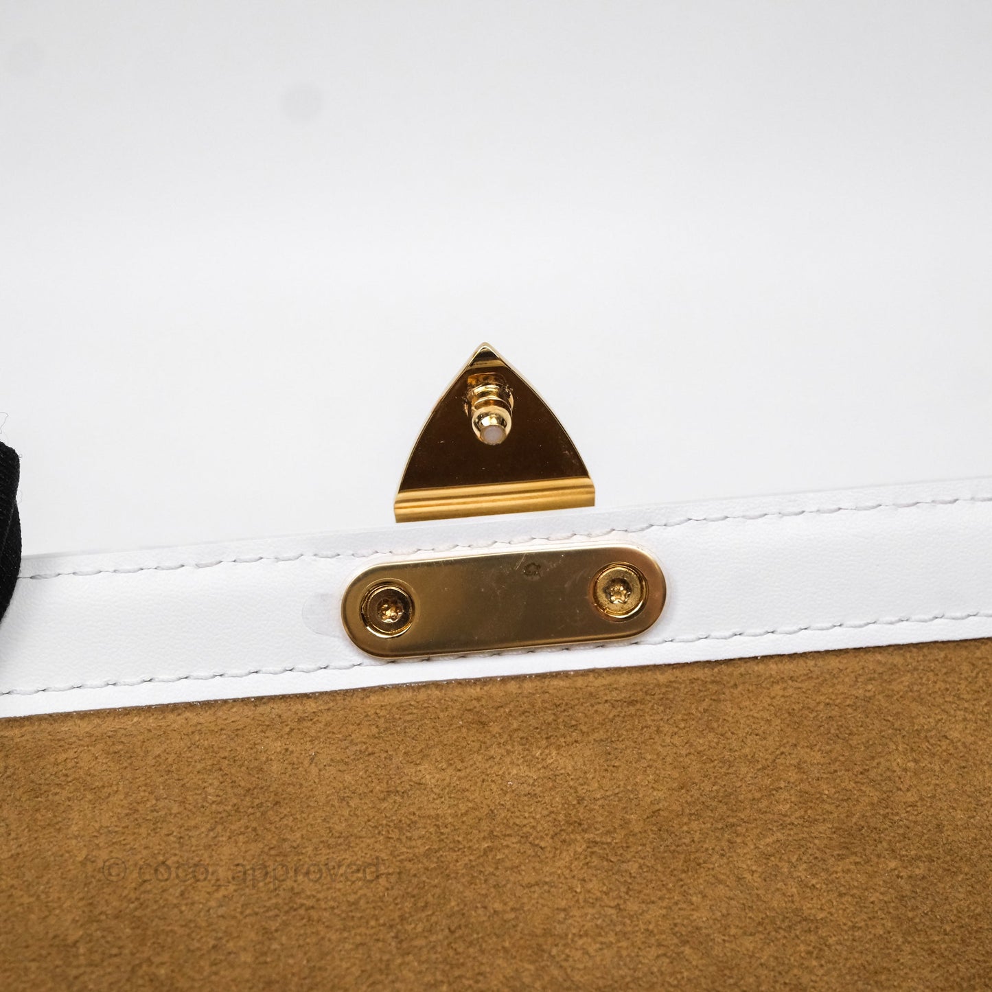 Louis Vuitton Monogram Papillon Trunk Bag