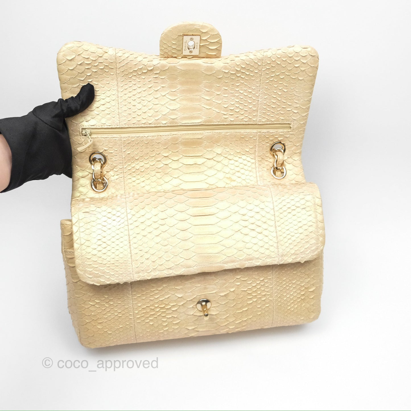 Chanel Jumbo Double Flap Iridescent Gold Python Gold Hardware⁣⁣