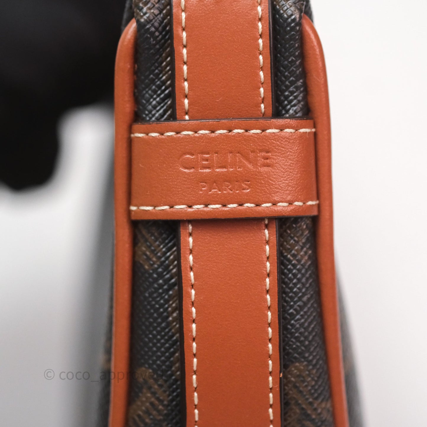 Celine Mini Ava Bag In Triomphe Canvas Calfskin Tan