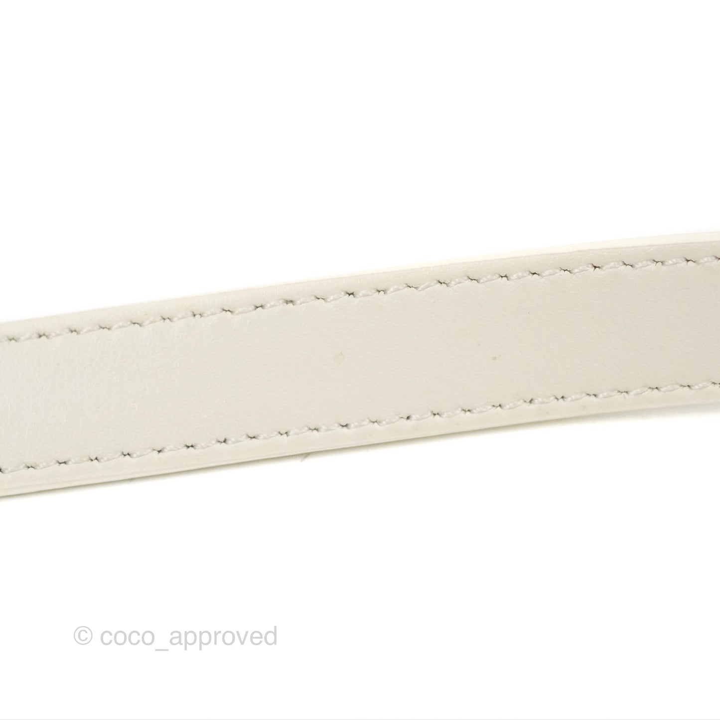 Celine Round Purse on Strap Triomphe Canvas White Calfskin