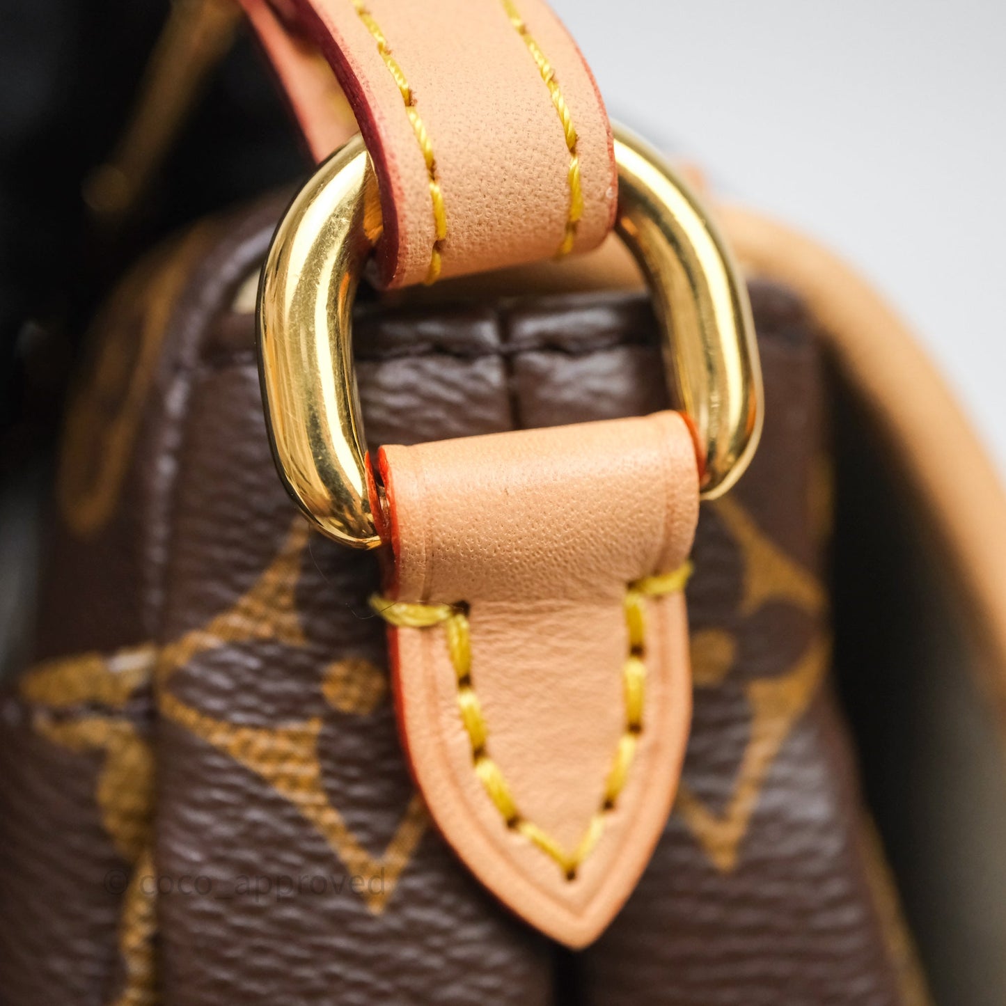 Louis Vuitton Saumur BB Monogram Bag Gold Hardware