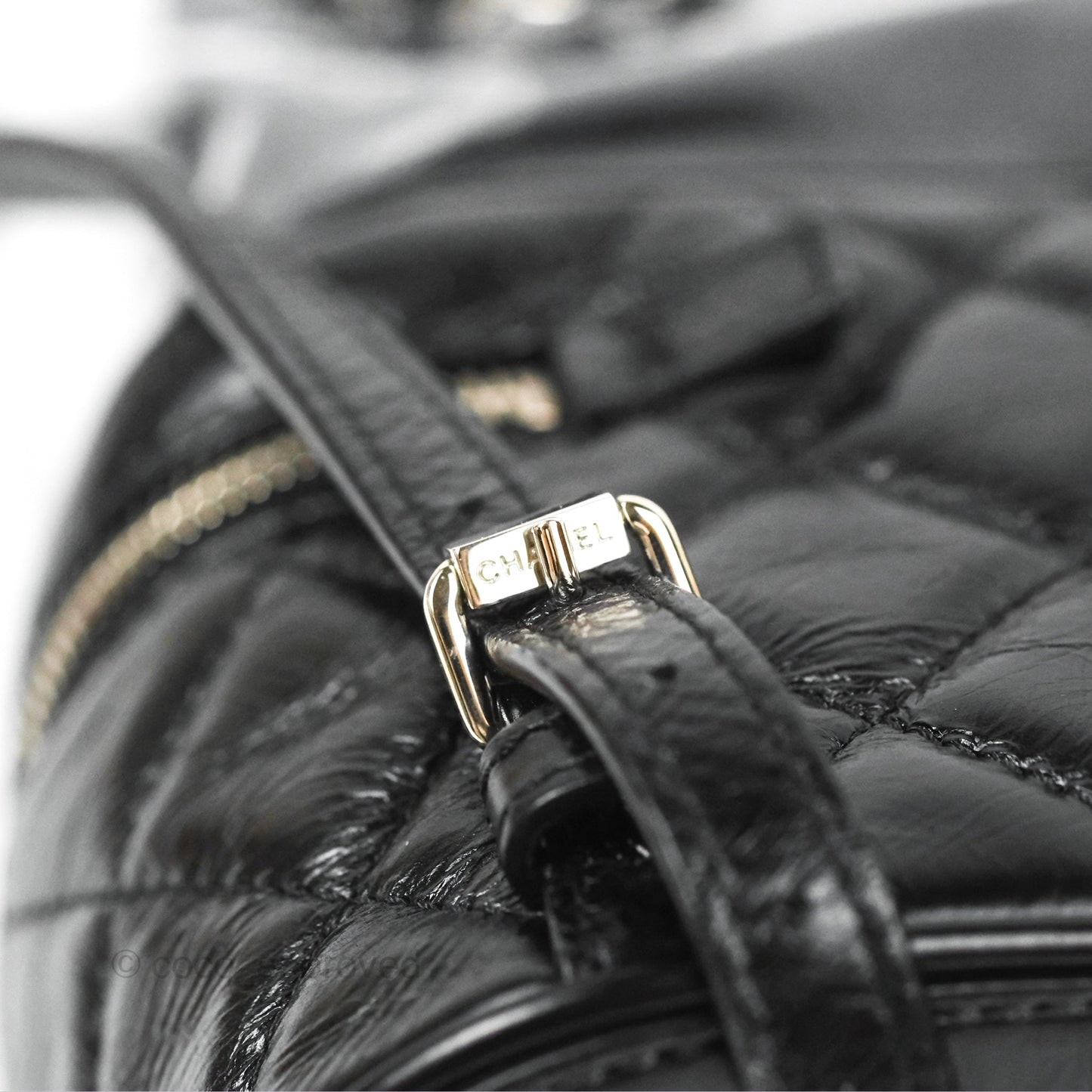 Chanel Aquarium PVC Backpack Black Crumpled Calfskin Silver Hardware