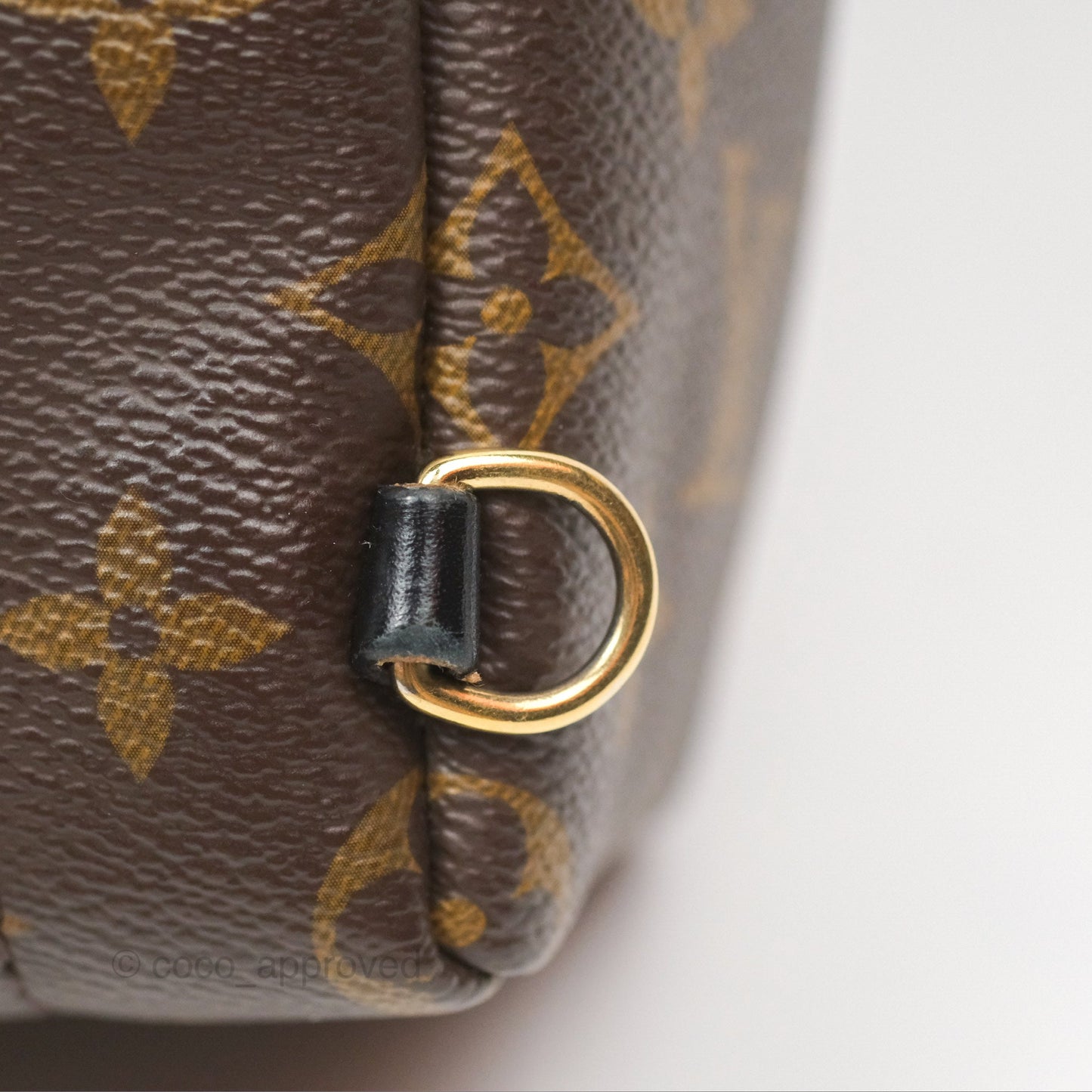 Louis Vuitton Mini Palm Springs Backpack⁣ Monogram