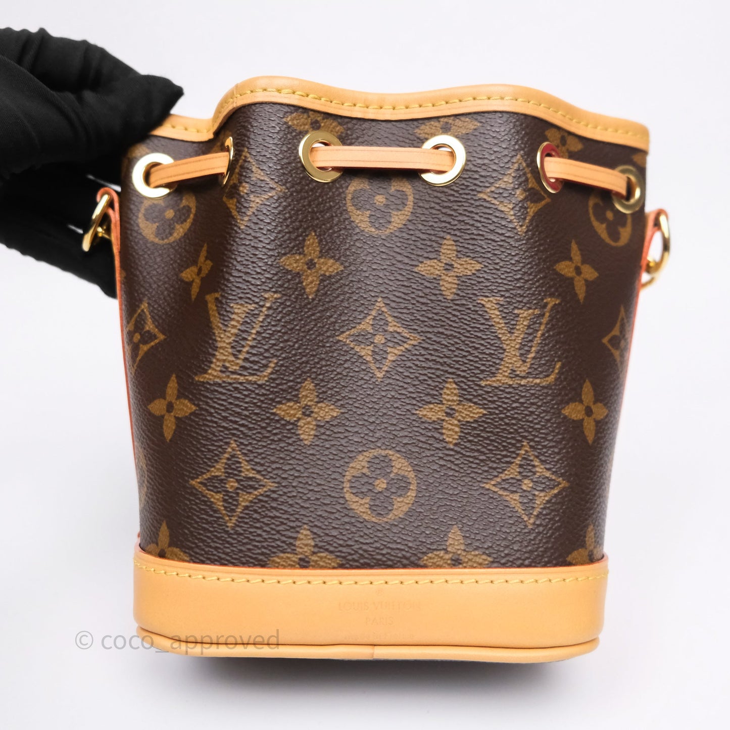 Louis Vuitton Nano Noe Monogram