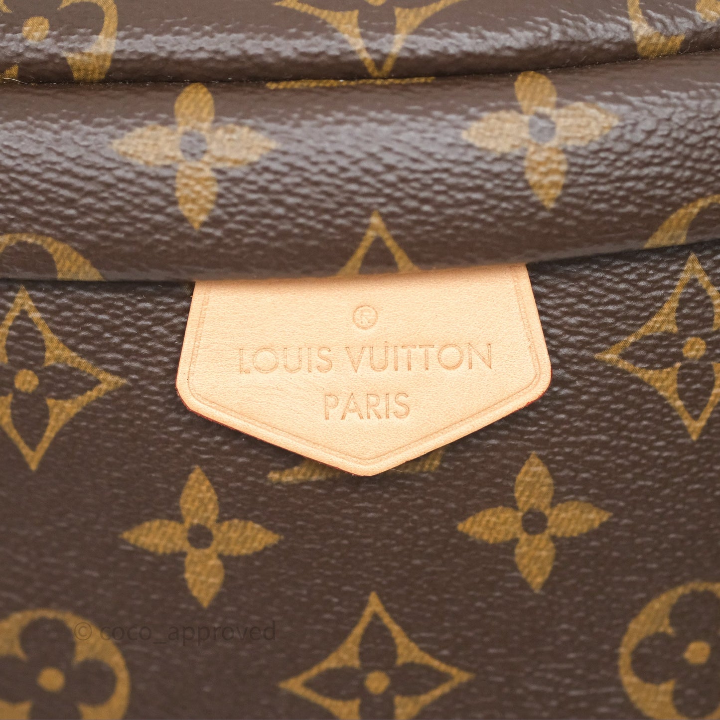 Louis Vuitton Bum Bag Monogram Canvas