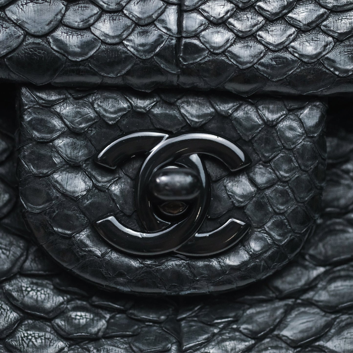 Chanel Classic M/L Medium Flap So Black Python Black Hardware