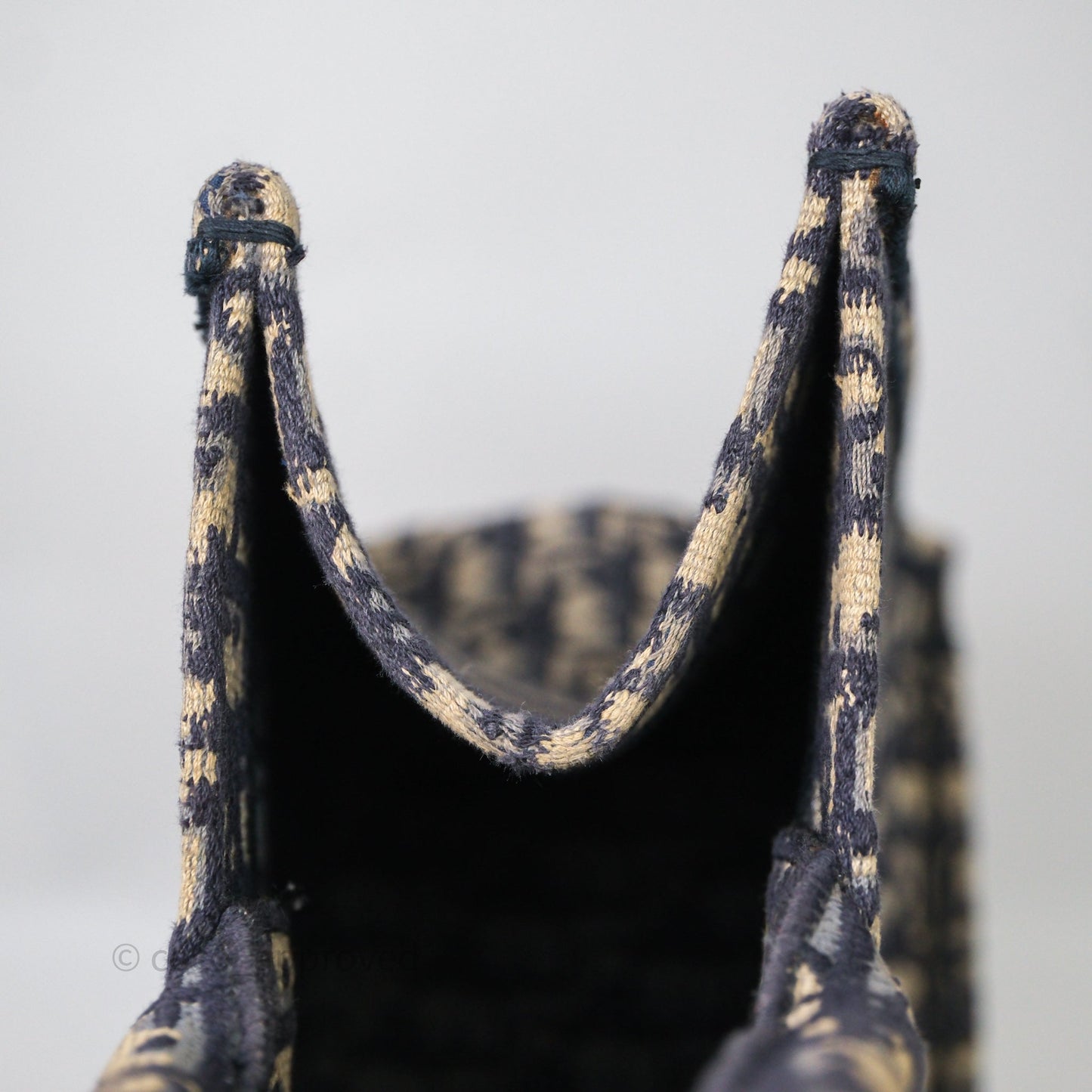 Christian Dior Medium Blue (Old Small) Dior Oblique Embroidery Canvas Book Tote