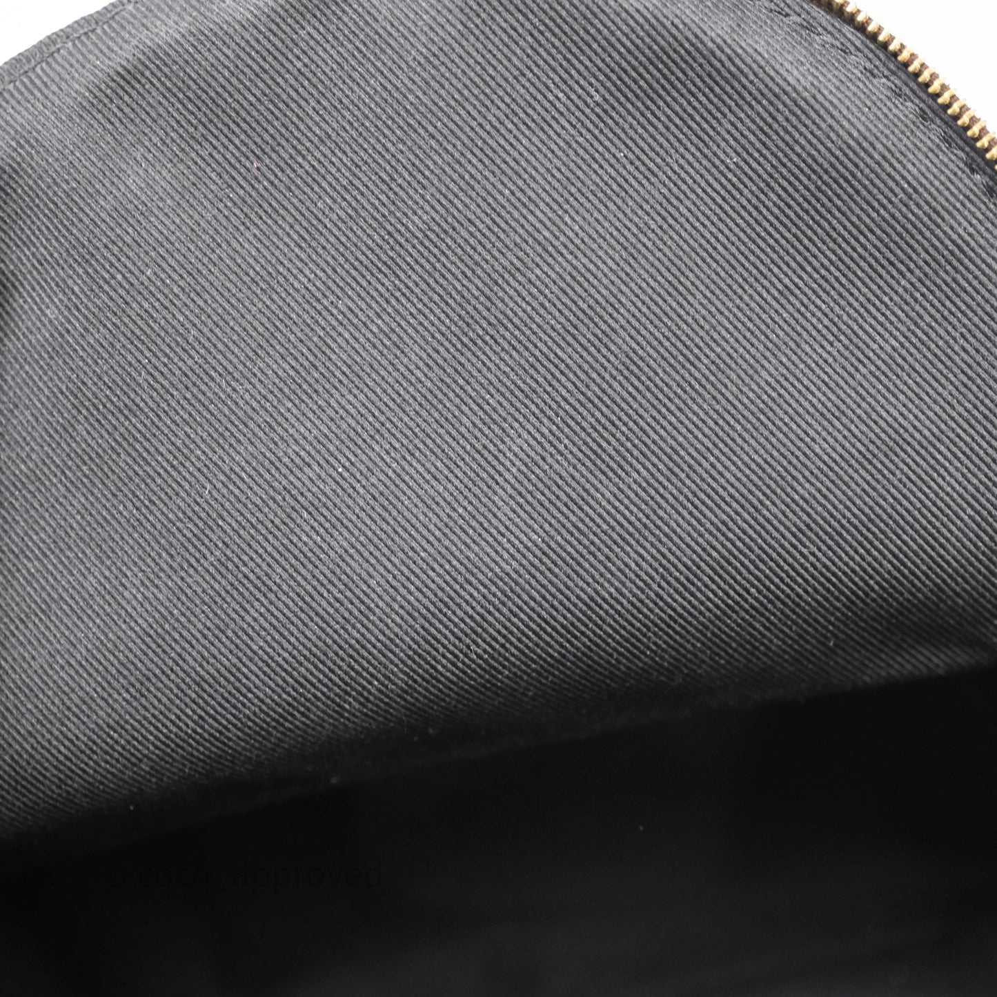 Louis Vuitton Mini Palm Springs Backpack⁣ Monogram