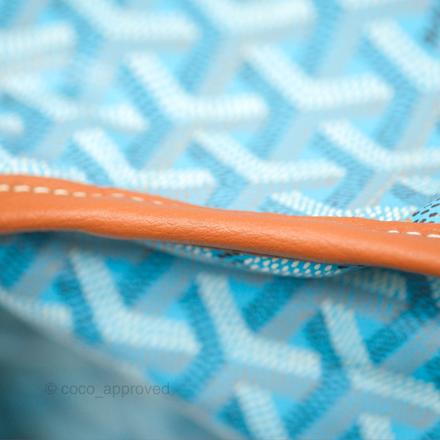 Goyard Belharra Bag Reversible Turquoise & Tan