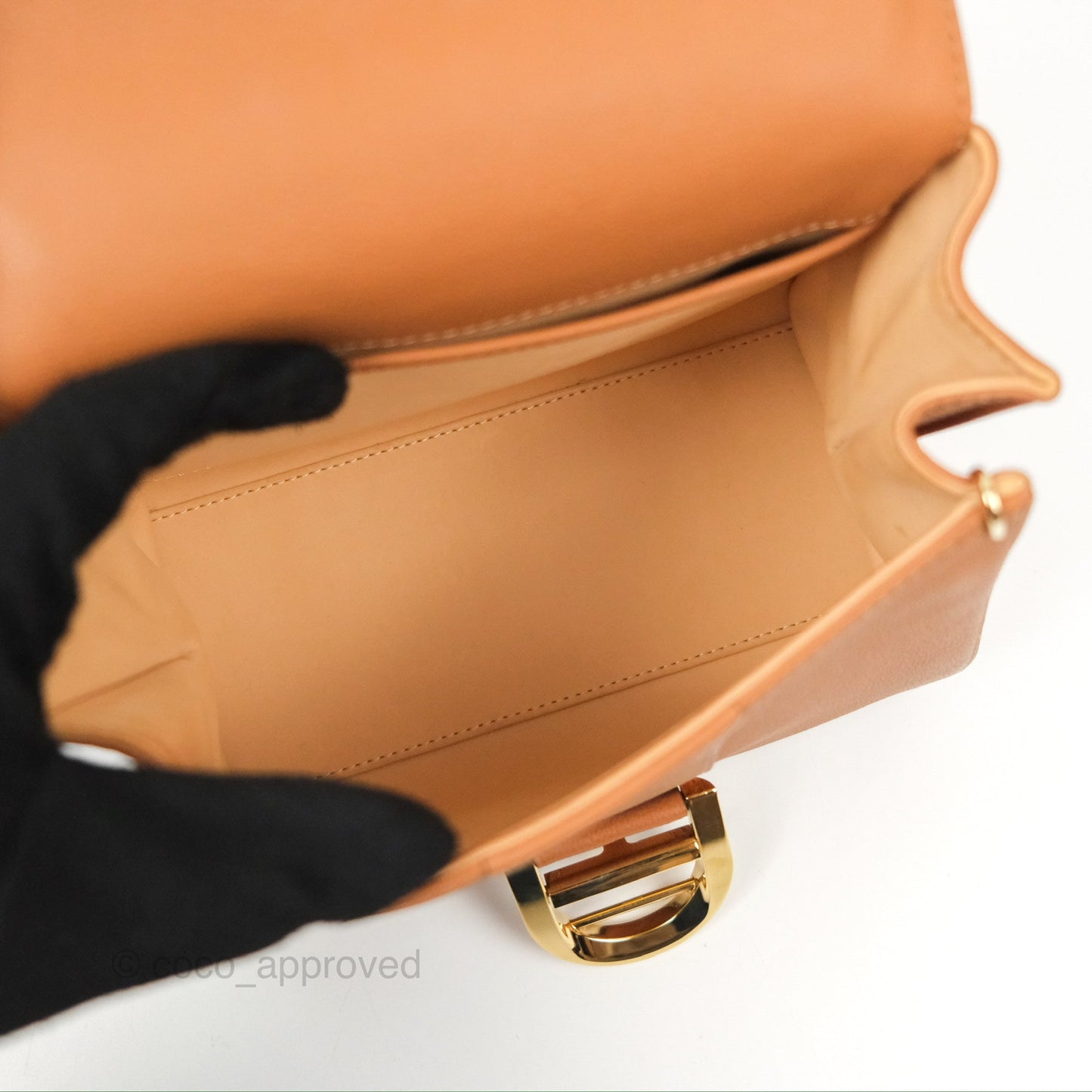Delvaux Mini Brillant Bag Vegetal Rodeo Calf Gold Hardware