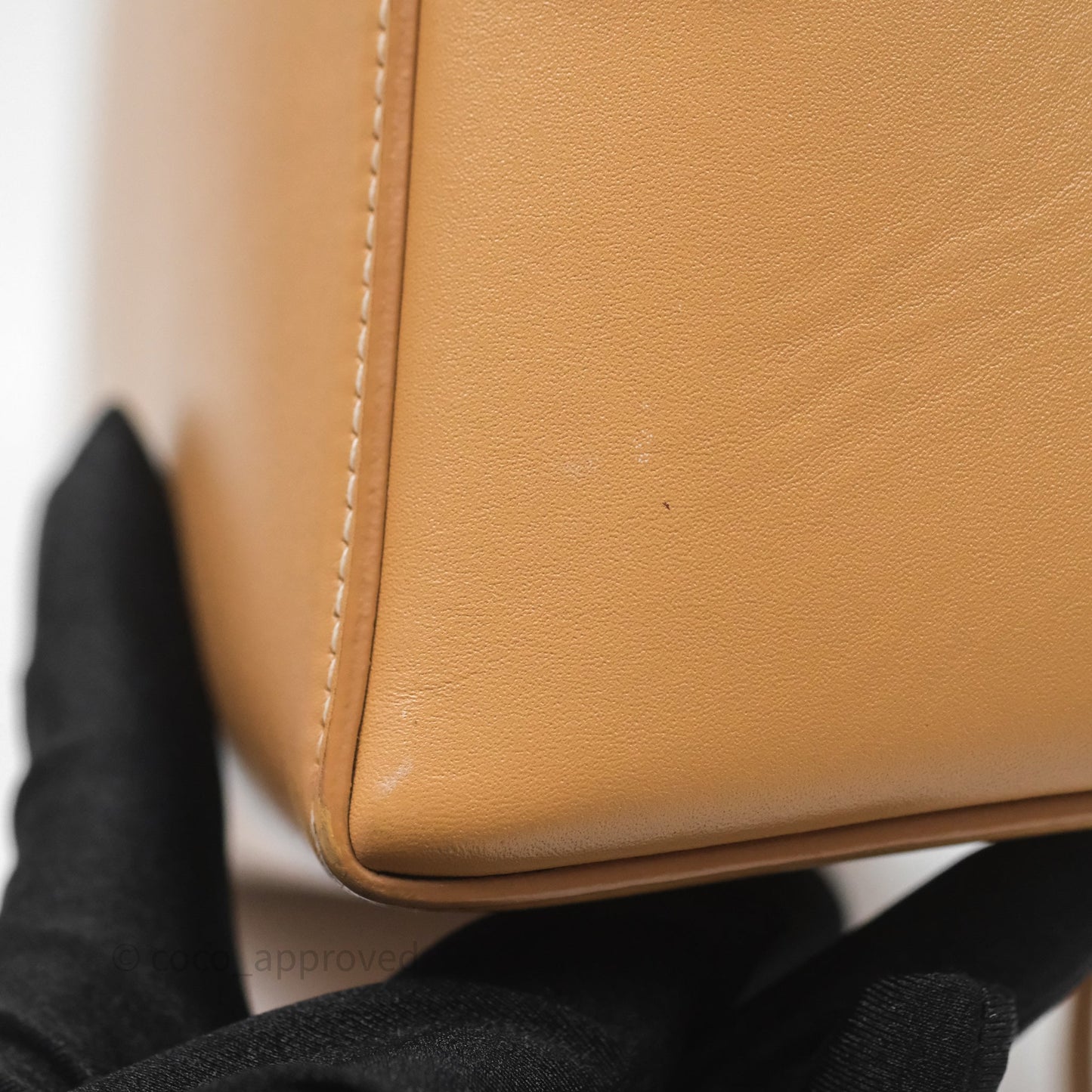 Loro Piana Extra Bag L27 Light Bamboo Calfskin Gold Hardware