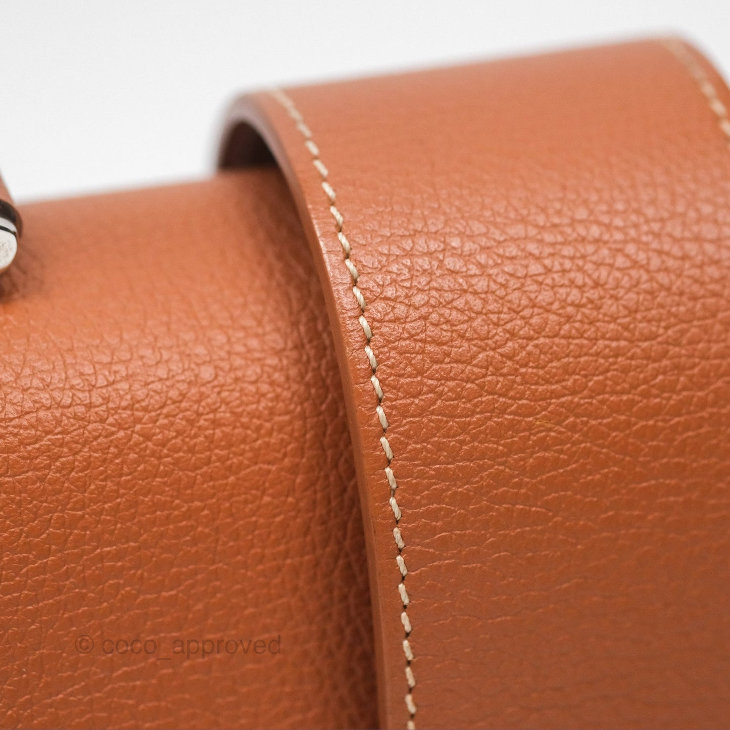 Goyard Saïgon Mini Bag Tan Goyardine Canvas/Chevroches Calfskin