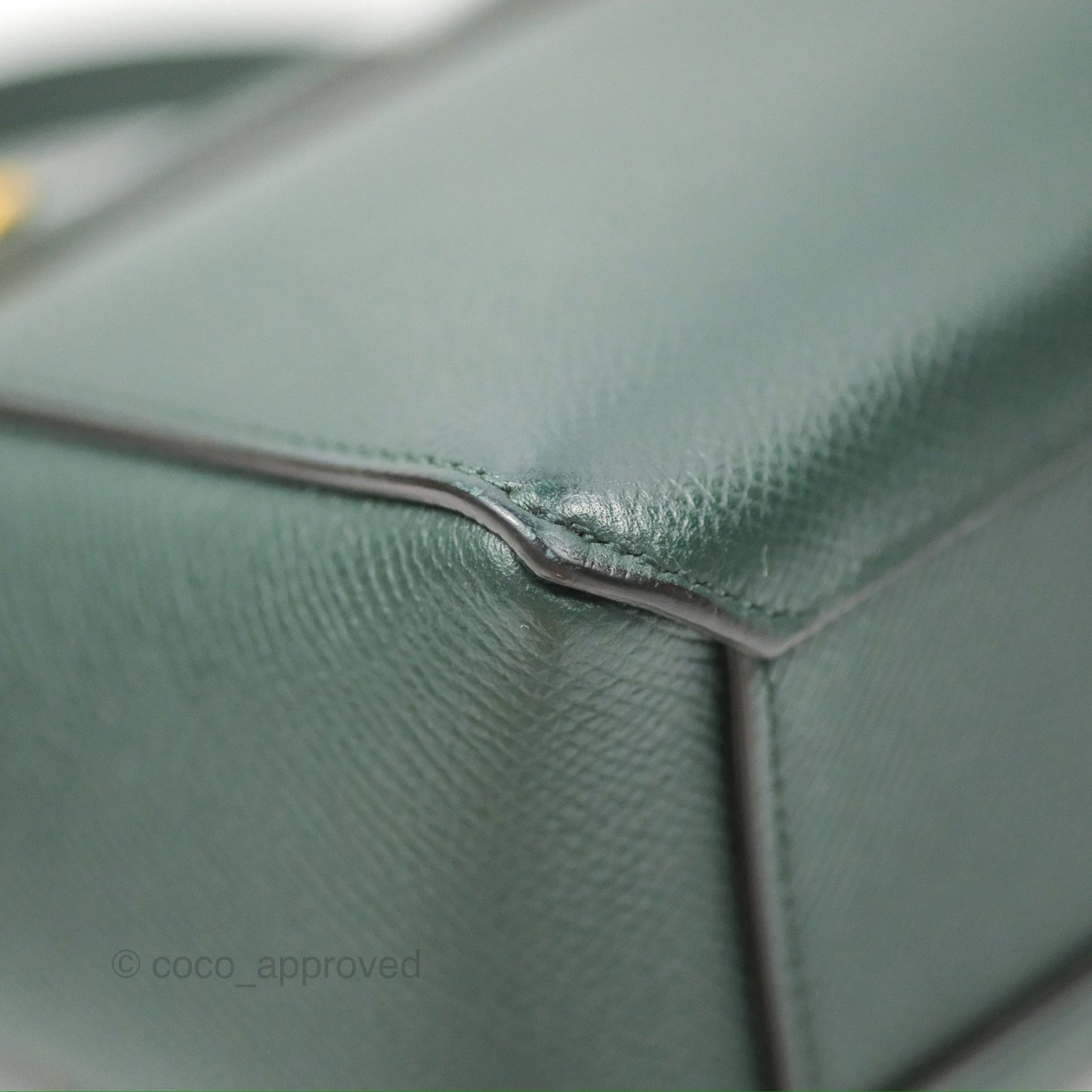 Celine Pico Belt Bag Amazone Green Grained Calfskin Gold Hardware