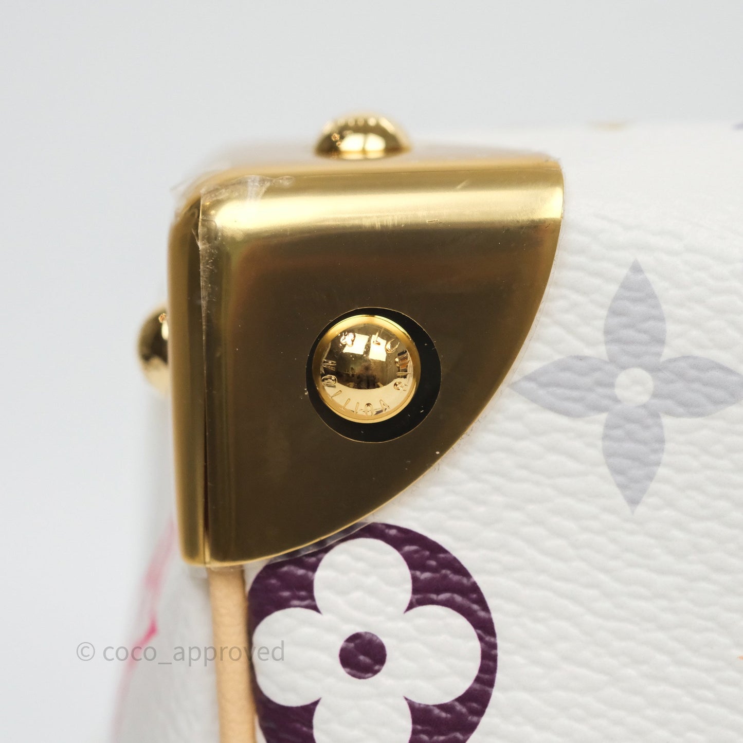 Louis Vuitton x TM Speedy Bandoulière 25