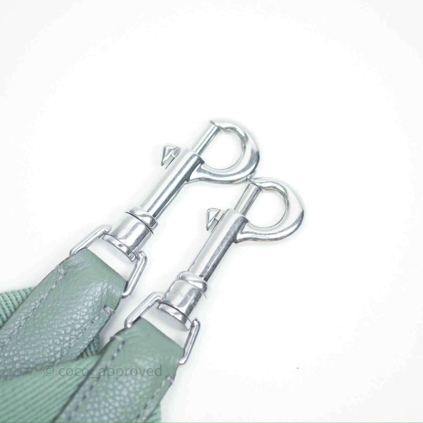 Celine Small Sangle Bucket Bag Light Green Celadon Grained Calfskin Silver Hardware