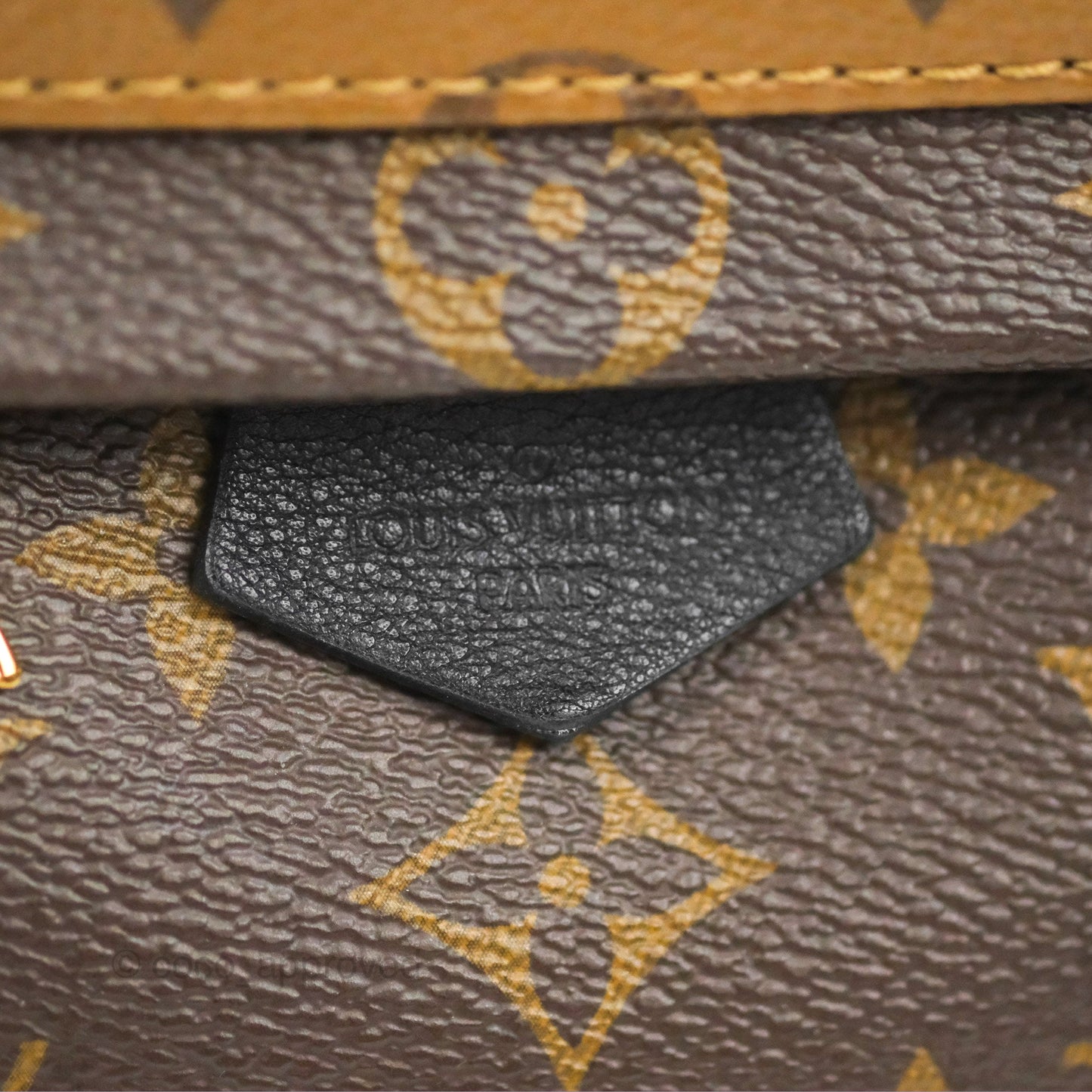 Louis Vuitton Reverse Mini Palm Springs Backpack⁣