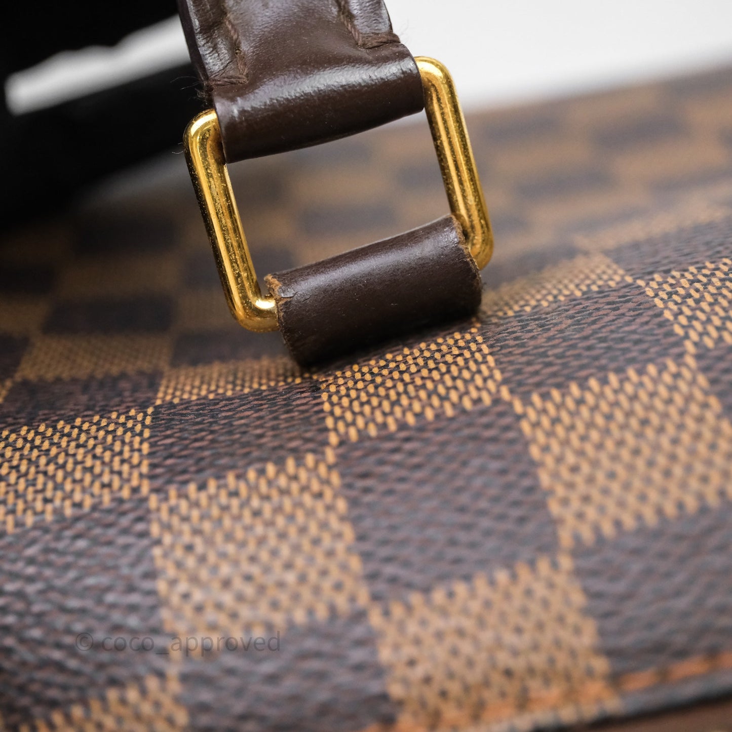 Louis Vuitton Ribera Damier Ebene Canvas