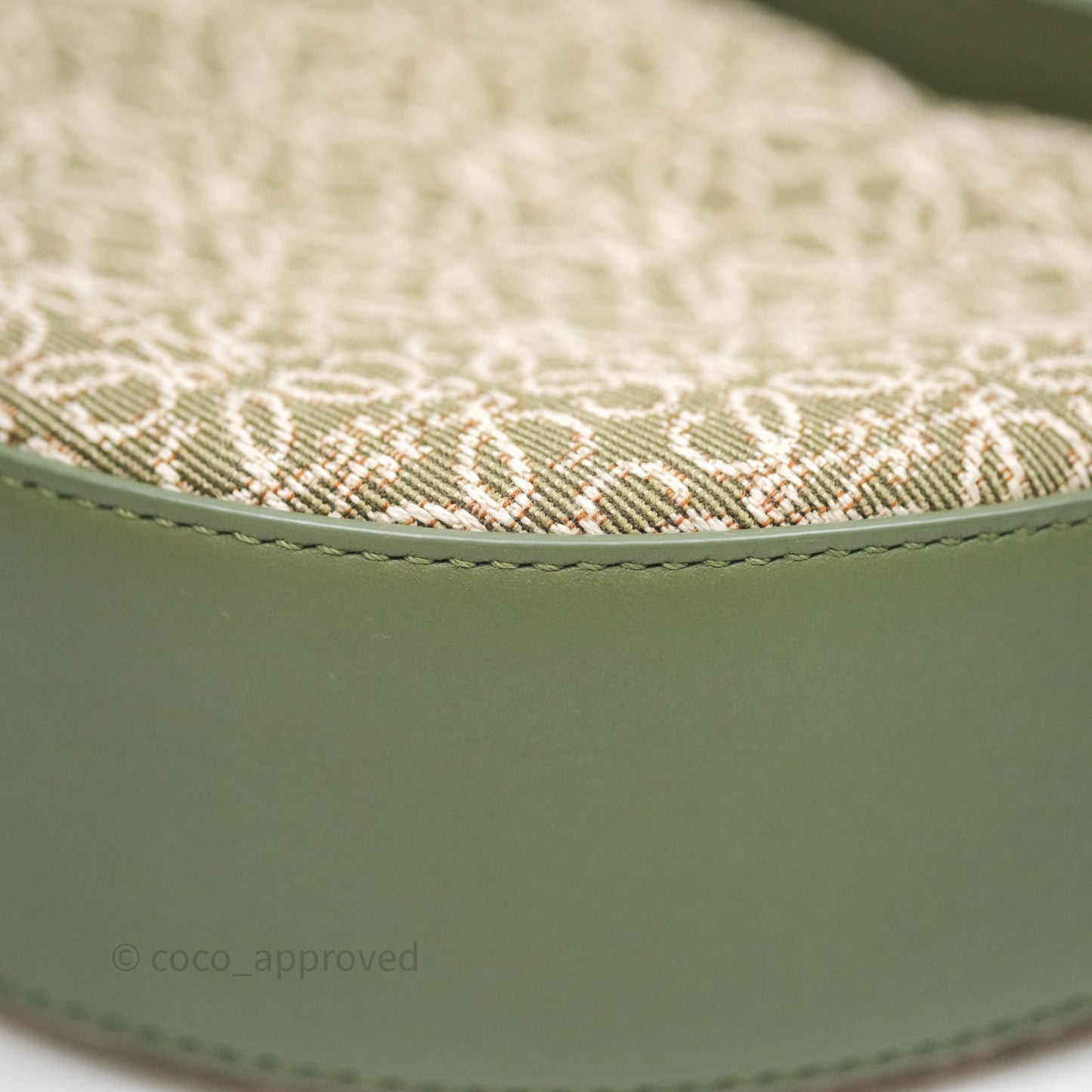Loewe Small Luna Anagram Shoulder Bag Green Calfskin Jacquard