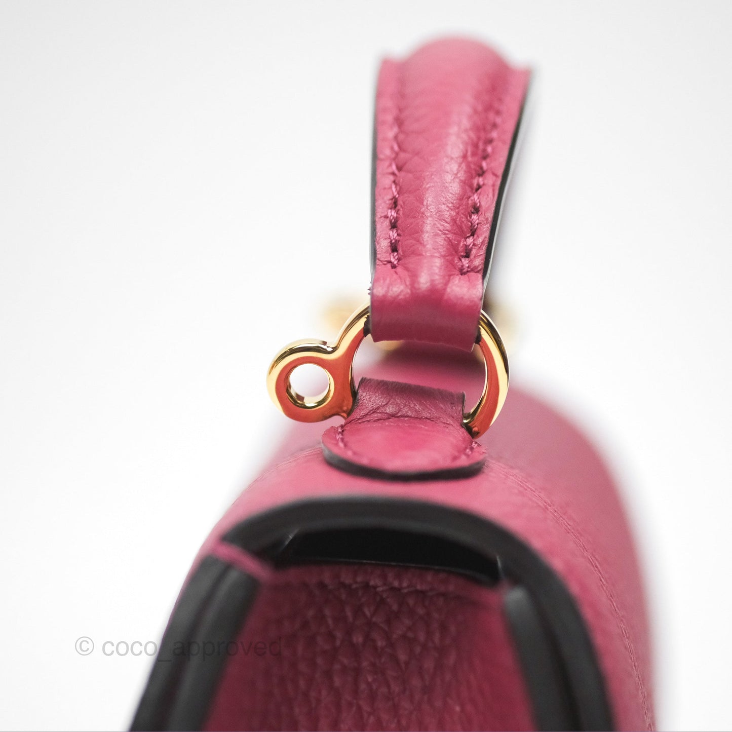 Moynat Réjane Nano Litchi Taurillon Blush Leather
