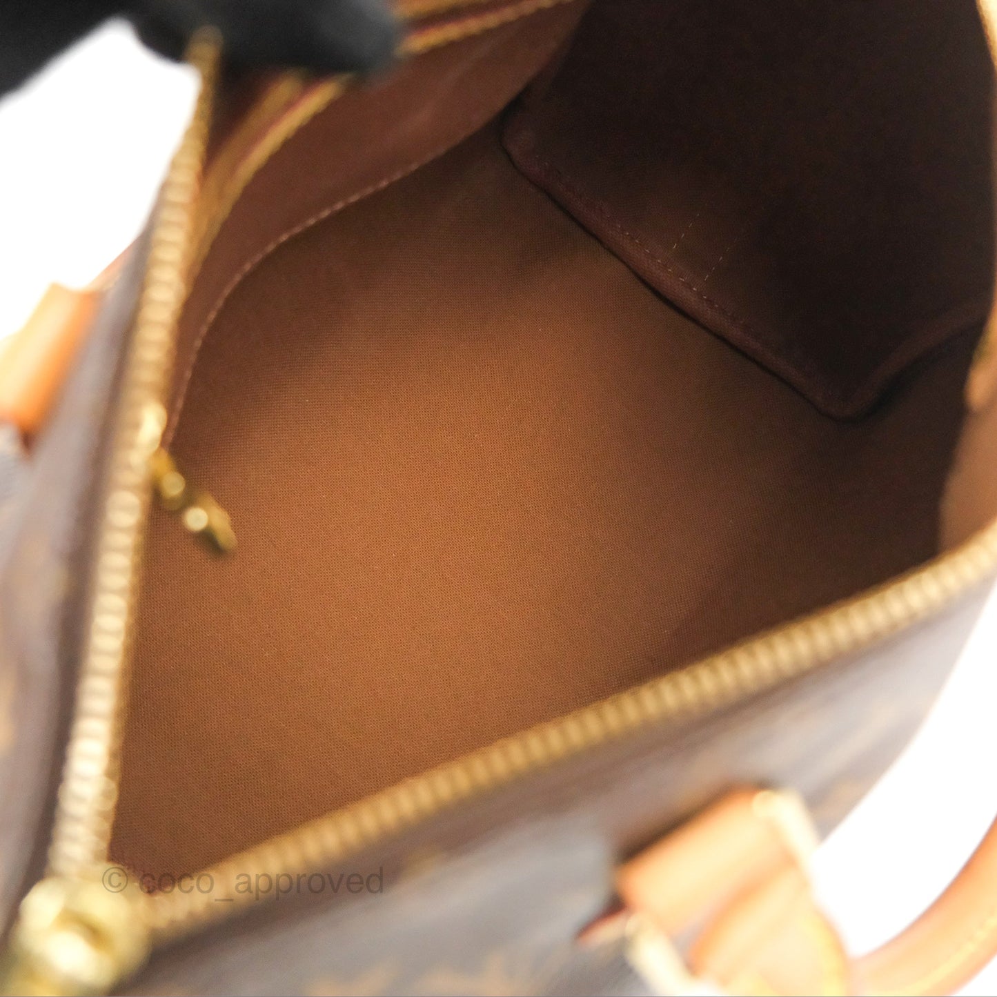 Louis Vuitton Speedy 25 Monogram Canvas