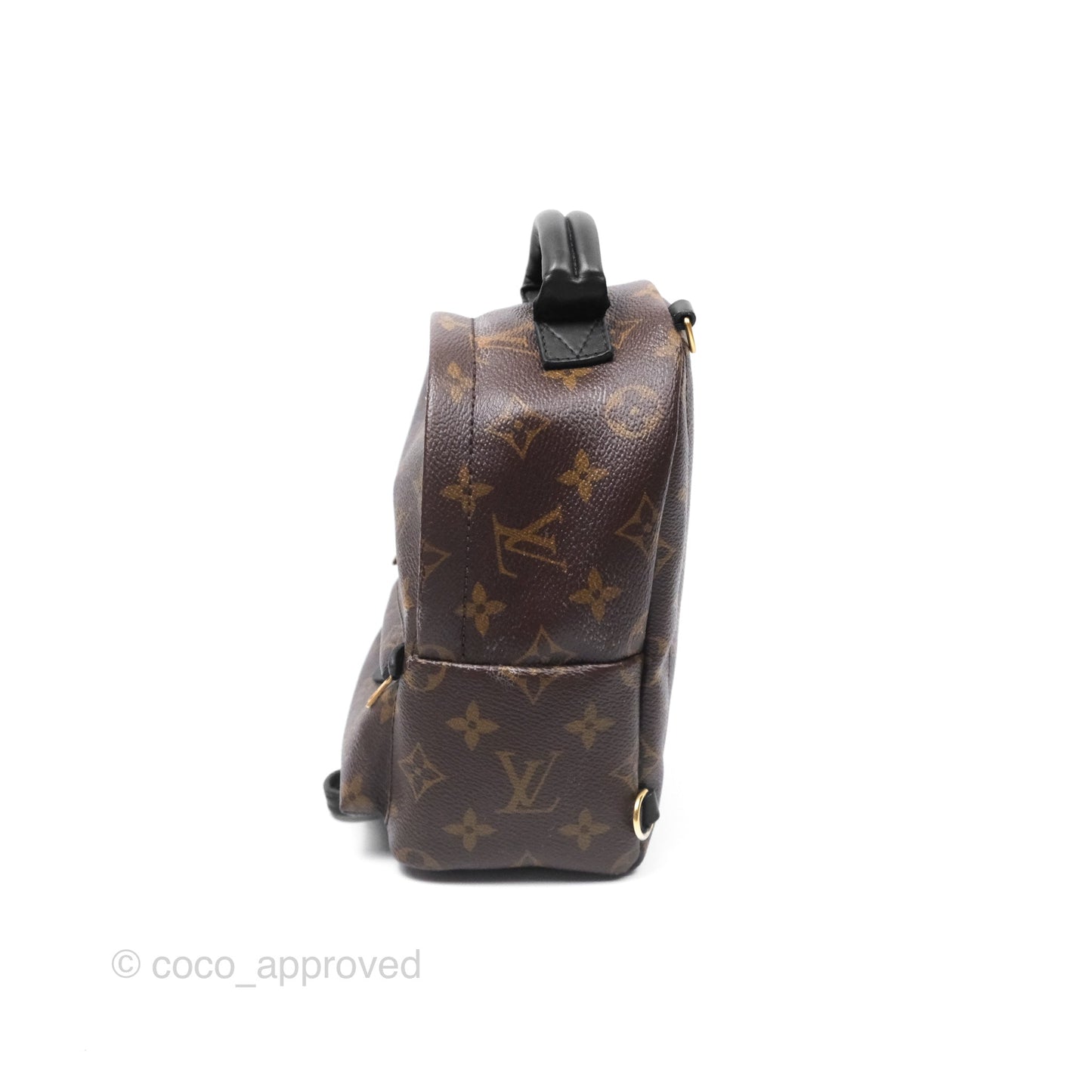 Louis Vuitton Monogram Mini Palm Springs Backpack⁣
