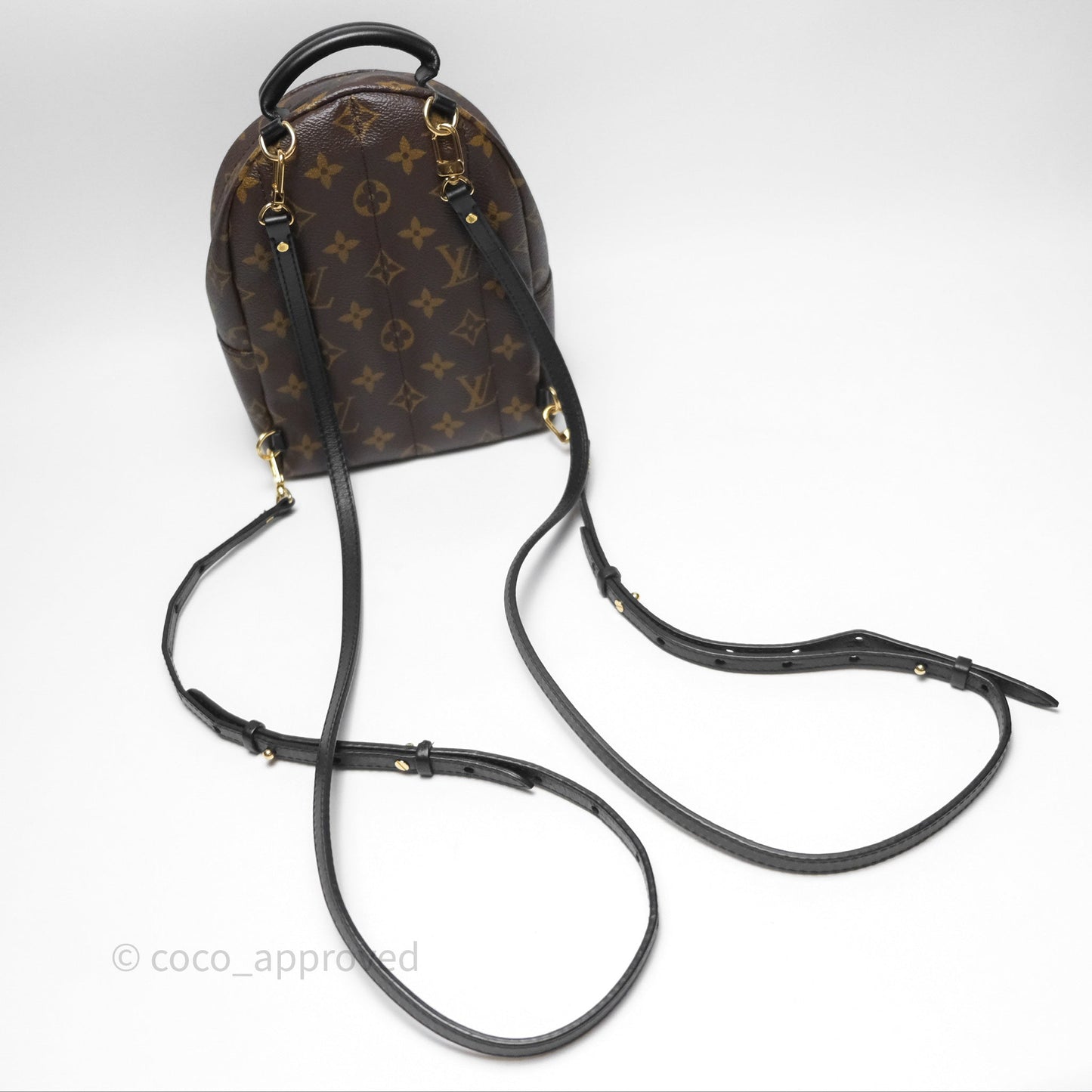 Louis Vuitton Monogram Mini Palm Springs Backpack⁣