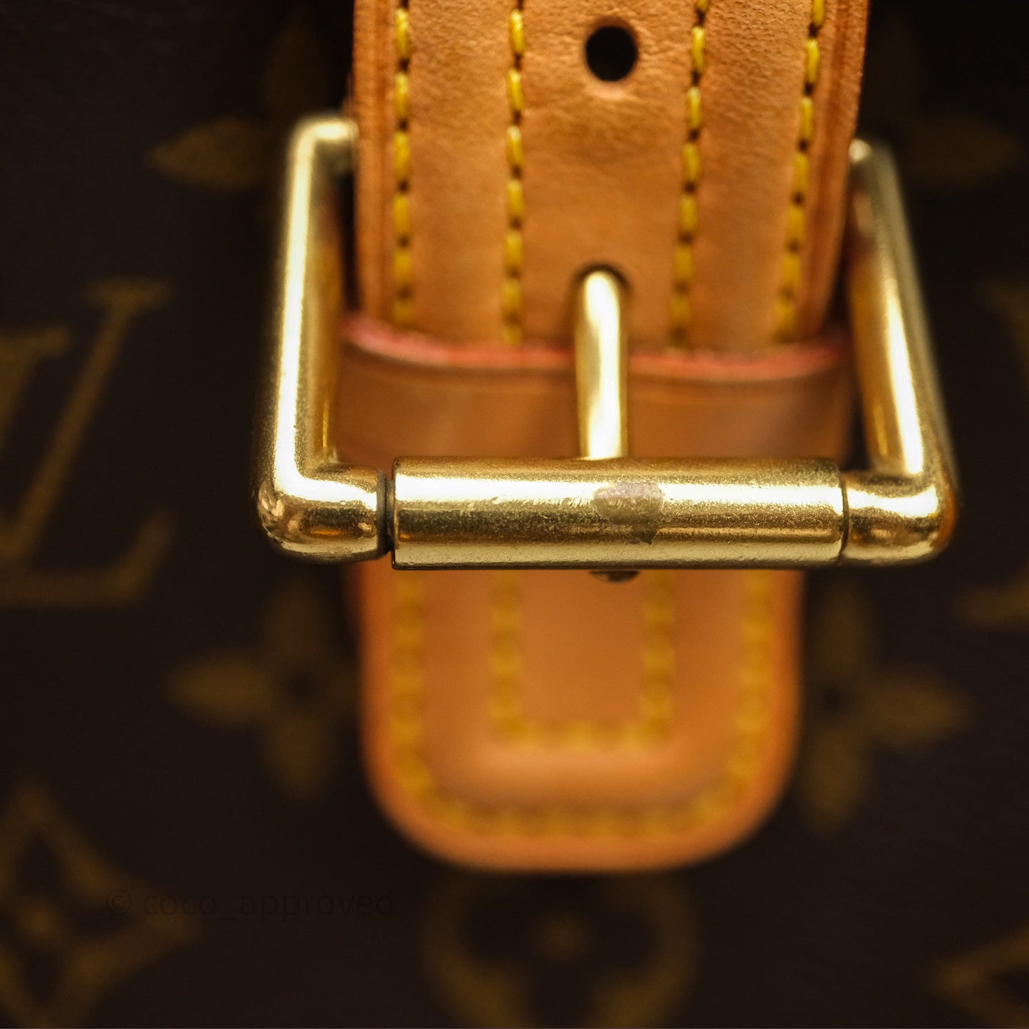 Louis Vuitton Multipli-Cite Tote Monogram Canvas