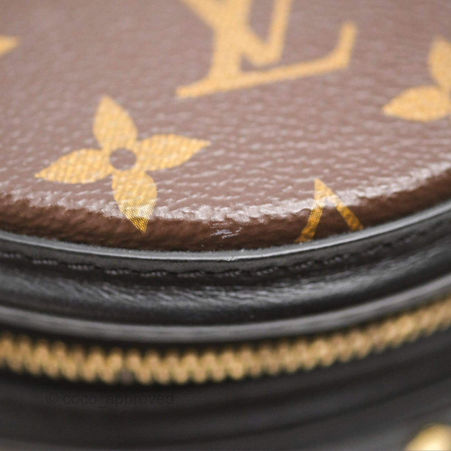 Louis Vuitton Monogram Canvas Reverse Cannes Bag