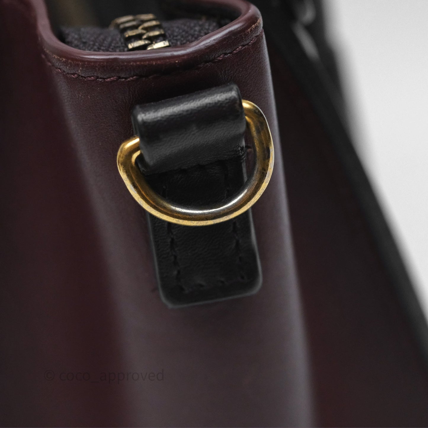 Celine Nano Luggage Satin Calfskin Gold Hardware Red/ Dark Brown