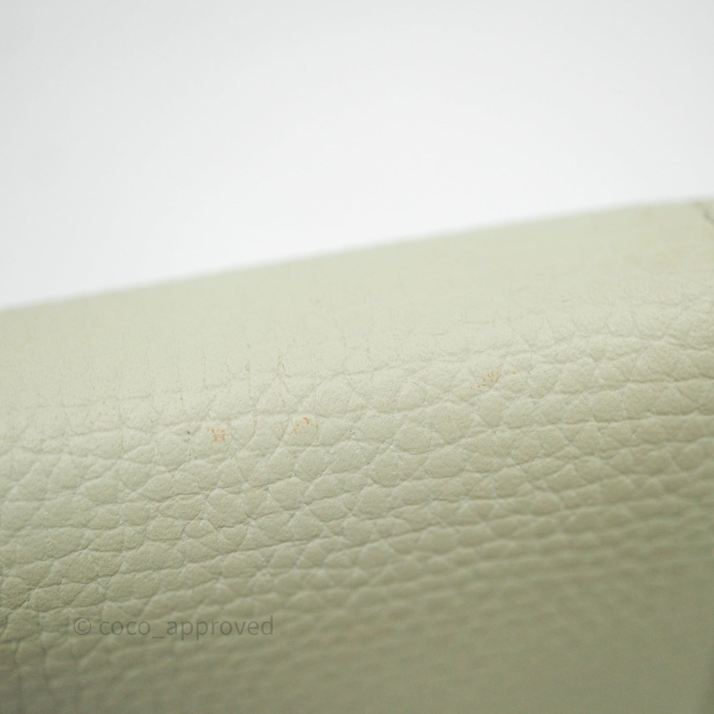 Loewe Anagram Small Vertical Wallet Green Silver Hardware