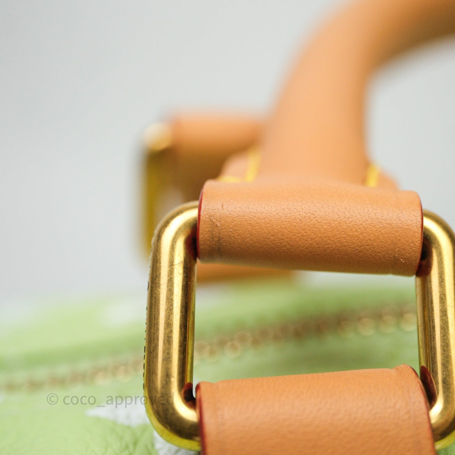 Louis Vuitton Speedy P9 Bandouliere 30 Vert Clair Bag