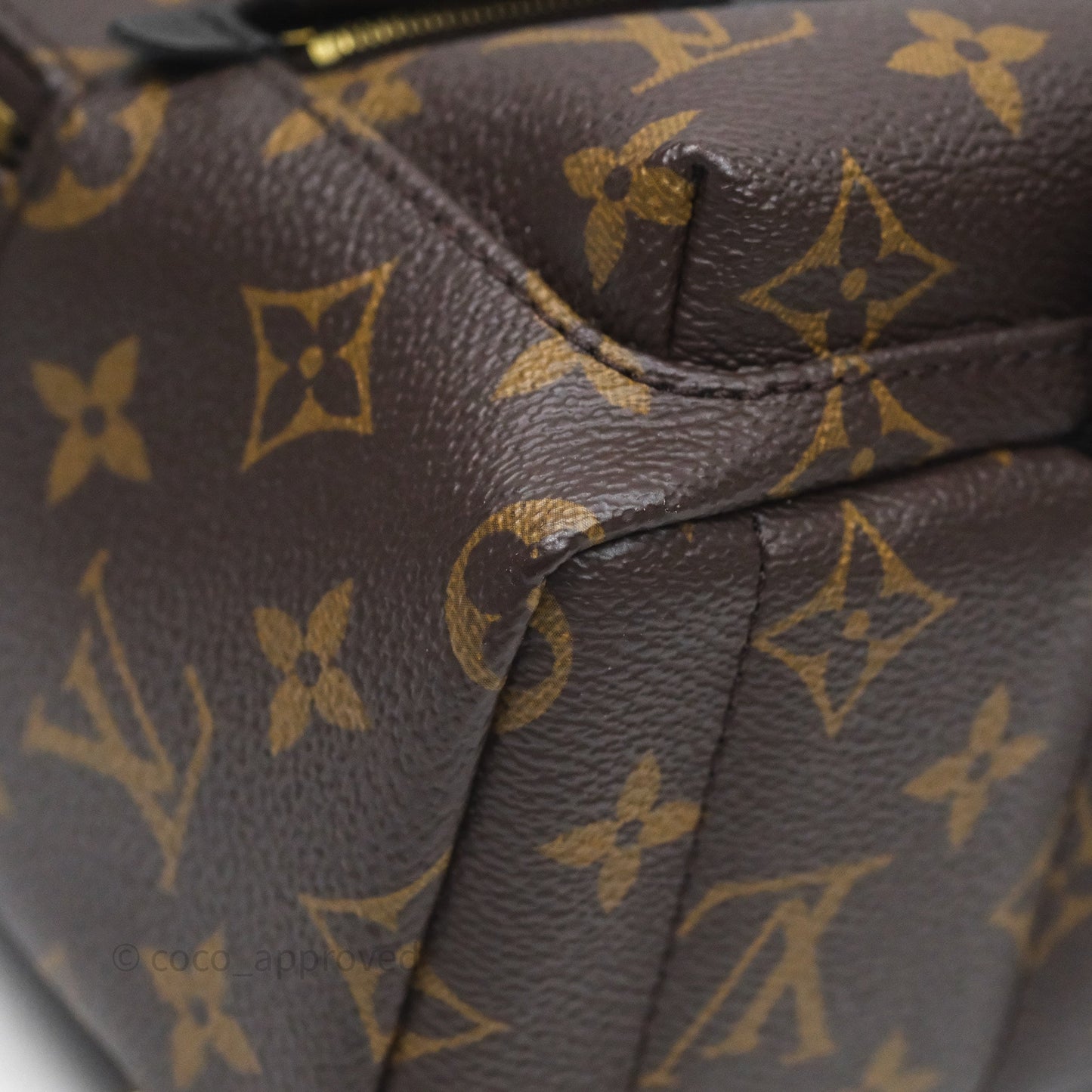 Louis Vuitton Mini Palm Springs Backpack⁣ Monogram