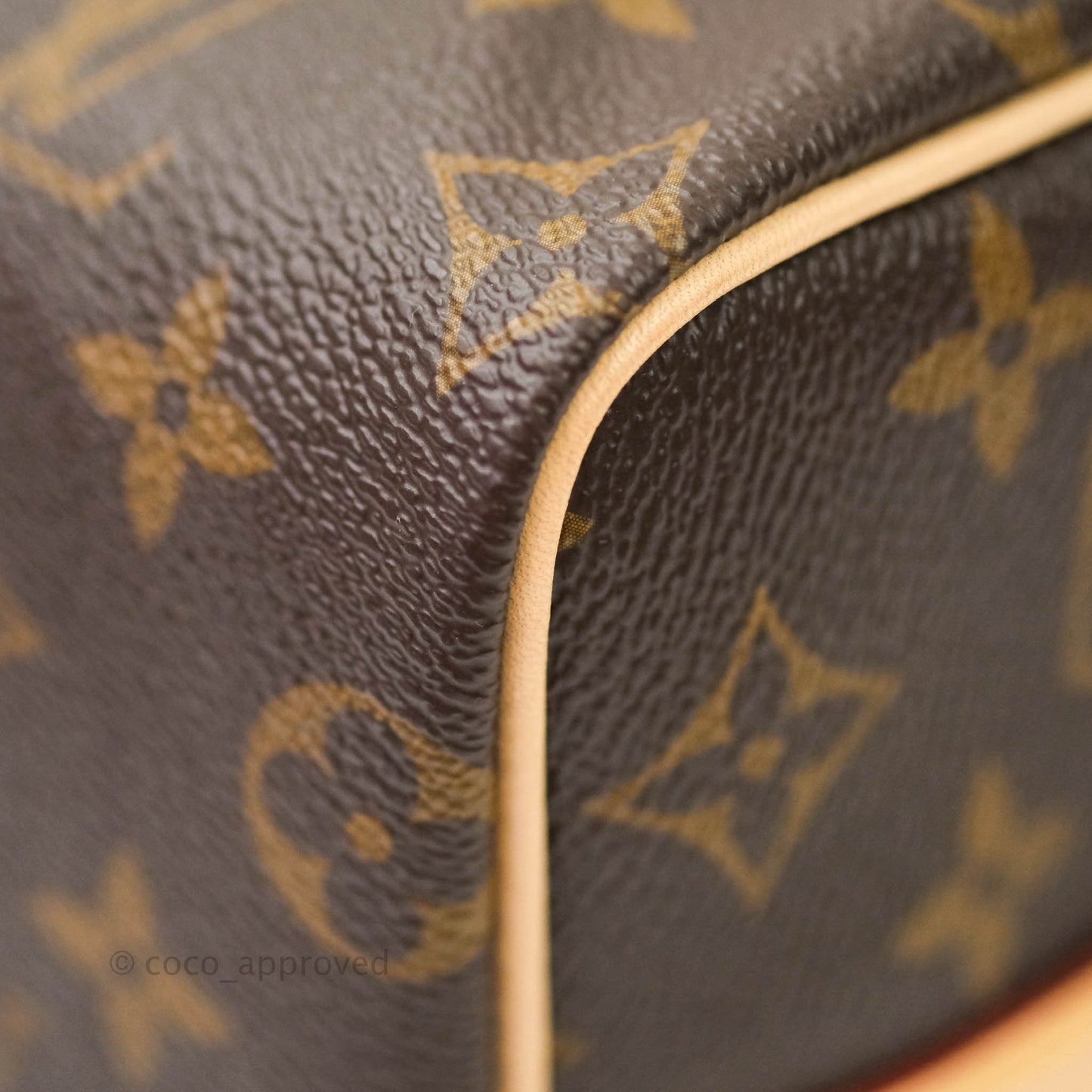 Louis Vuitton Monogram Canvas Speedy 25