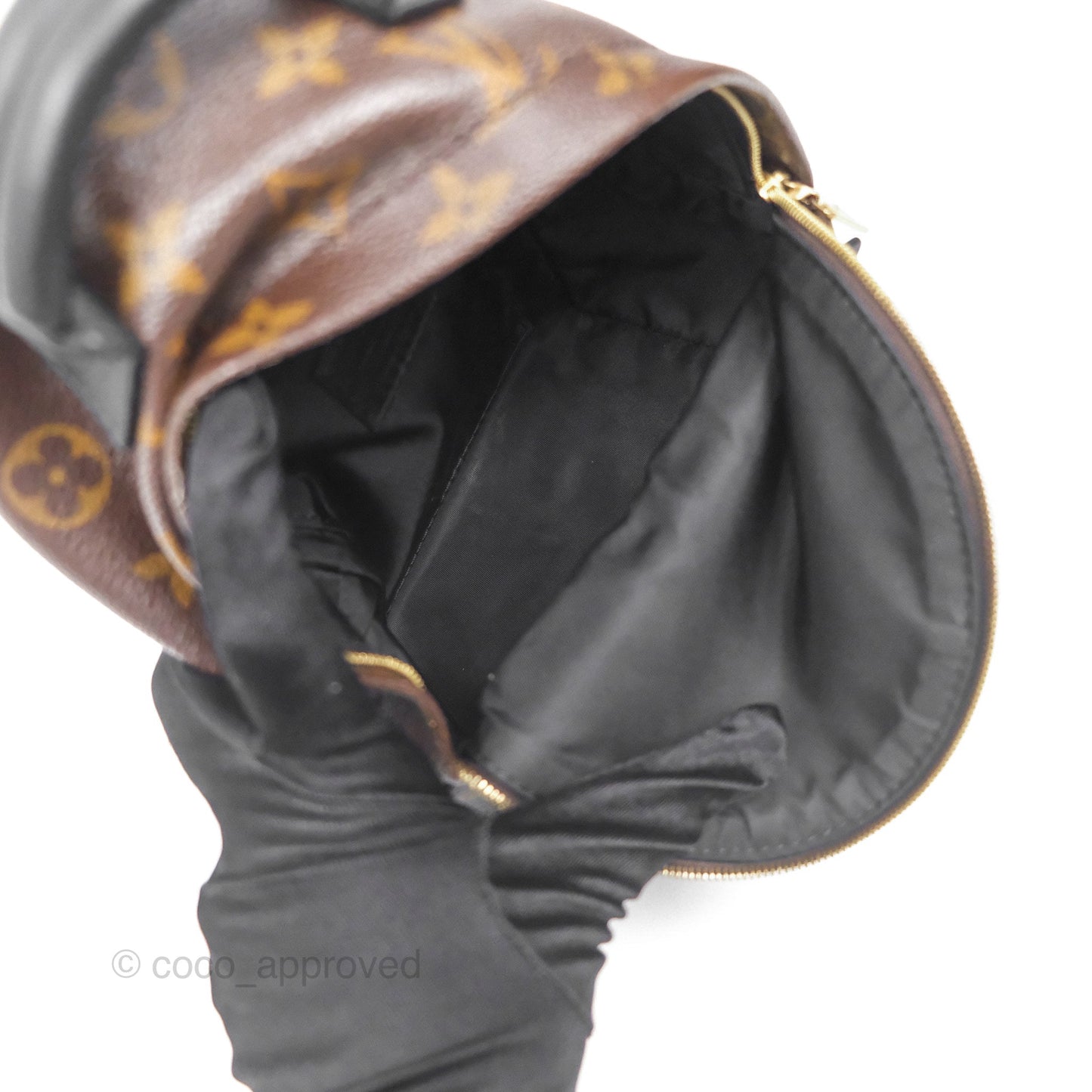 Louis Vuitton Monogram Mini Palm Springs Backpack⁣