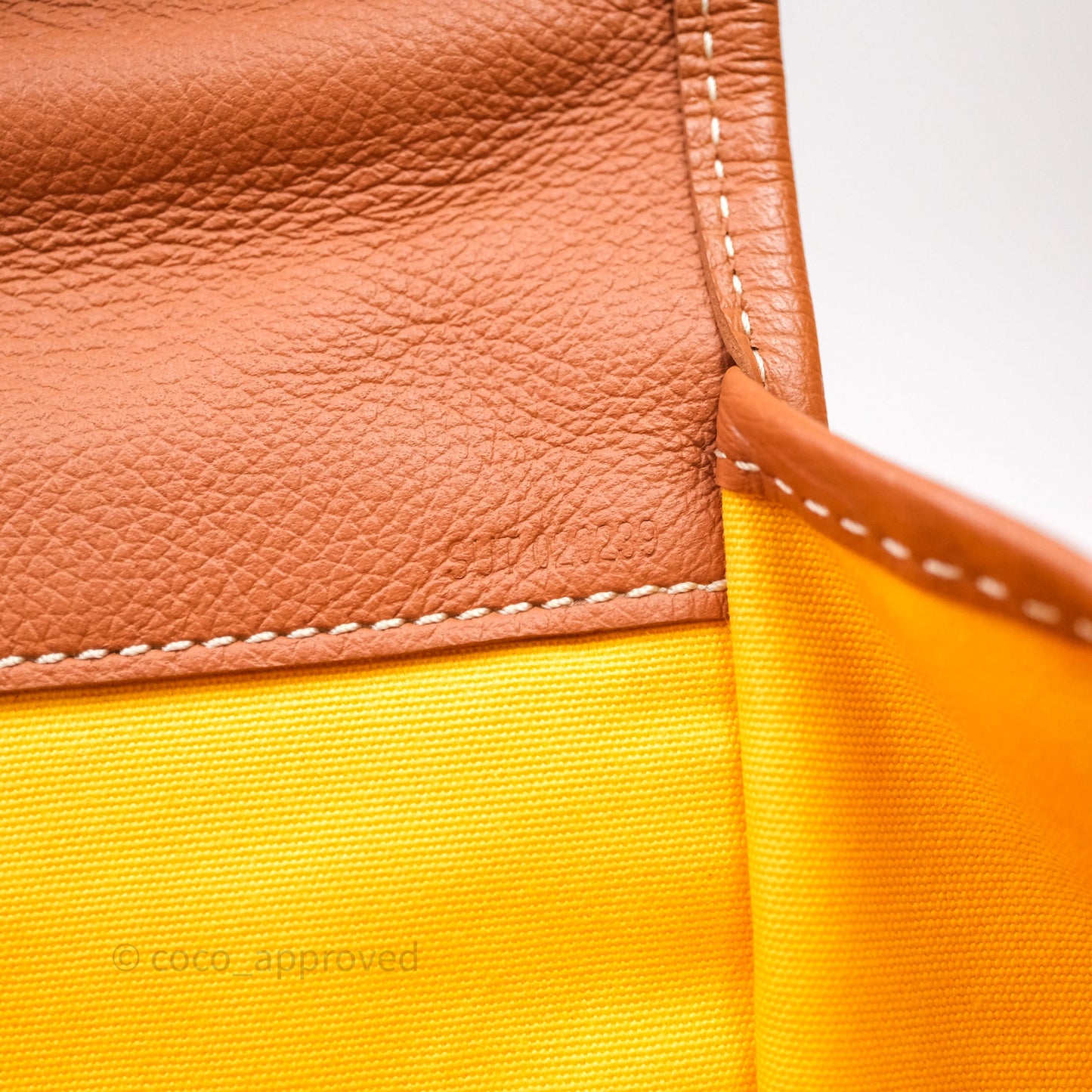 Goyard Saint Léger Backpack Black/ Tan