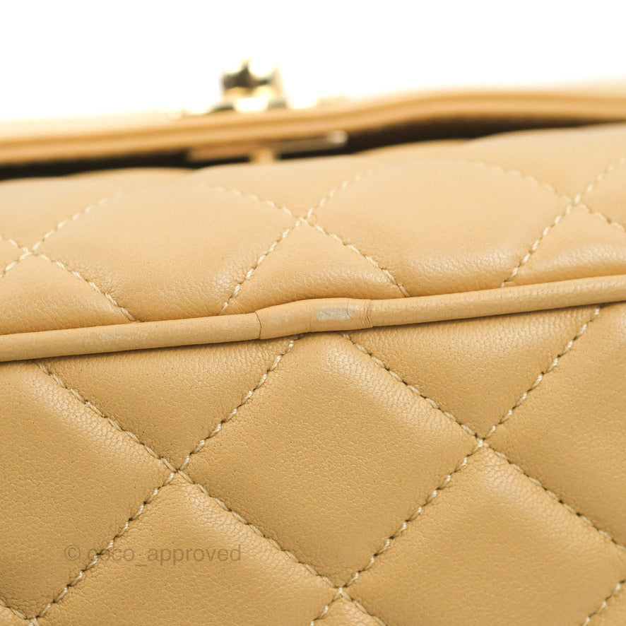 Chanel Calfskin Coco Vintage Camera Case Beige Gold Hardware