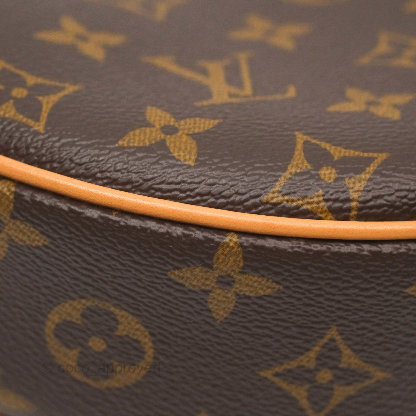 Louis Vuitton Loop Monogram Canvas