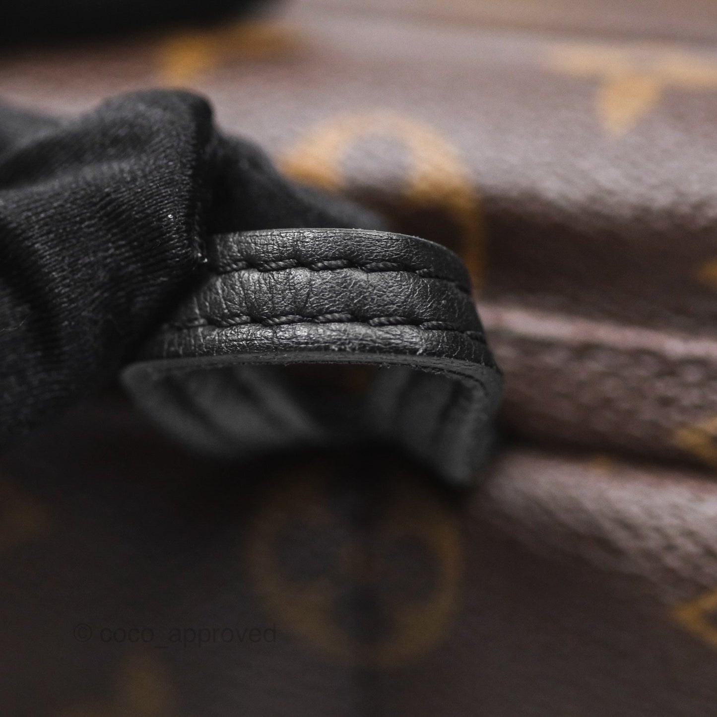 Louis Vuitton Monogram Mini Palm Springs Backpack⁣