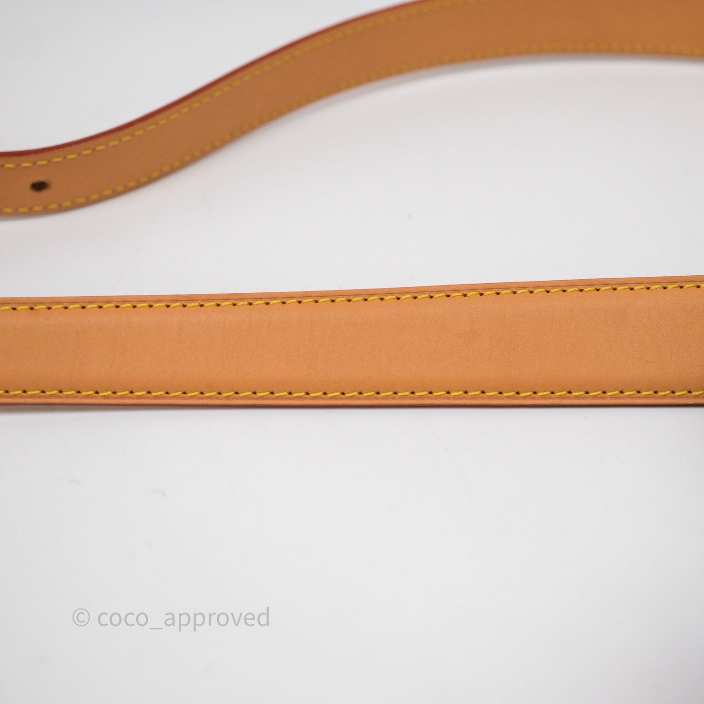 Louis Vuitton Tambourin Monogram Canvas Bag
