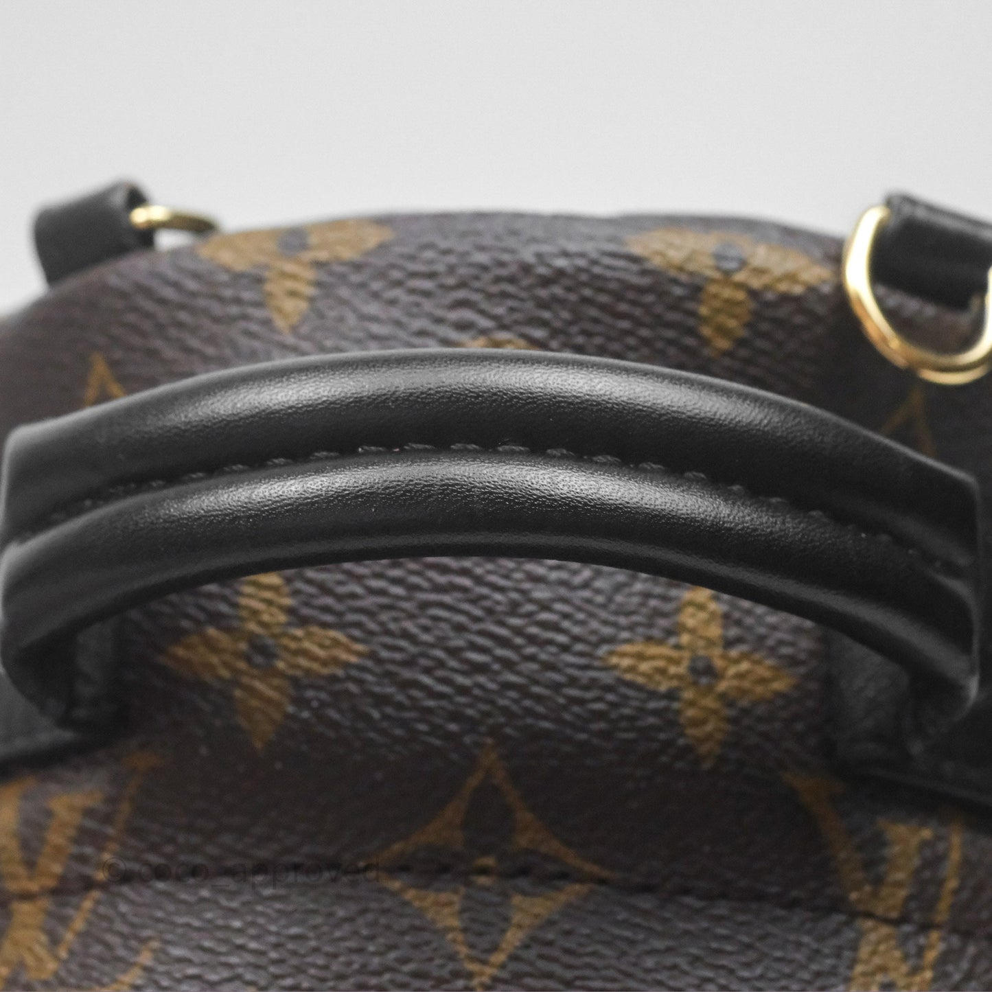 Louis Vuitton Monogram Mini Palm Springs Backpack⁣