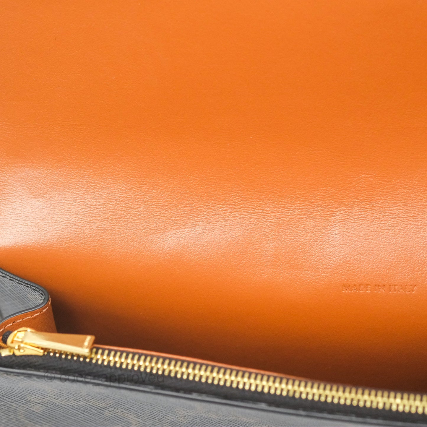 Celine Wallet On Strap Triomphe Canvas Tan Lambskin