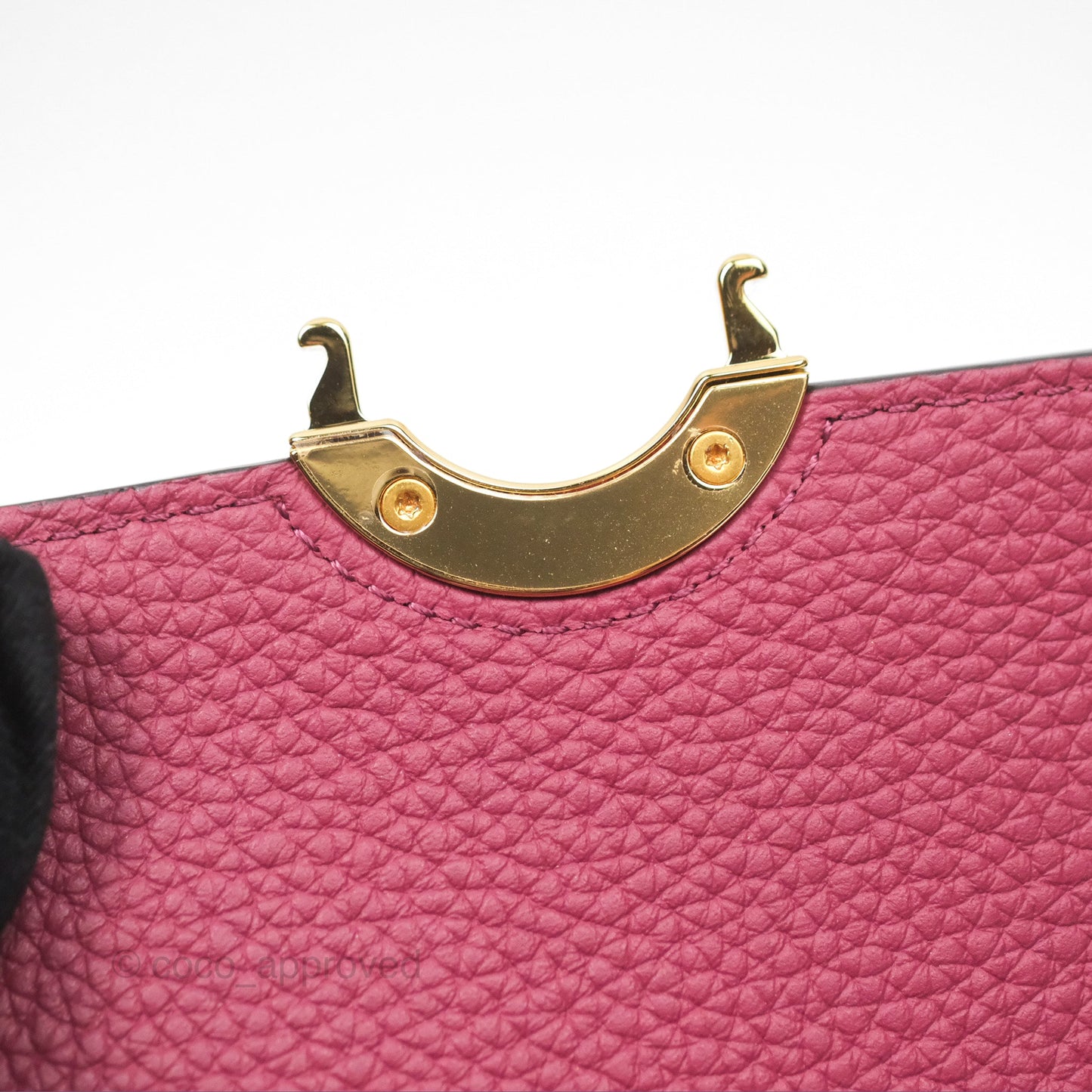 Moynat Réjane Nano Litchi Taurillon Blush Leather