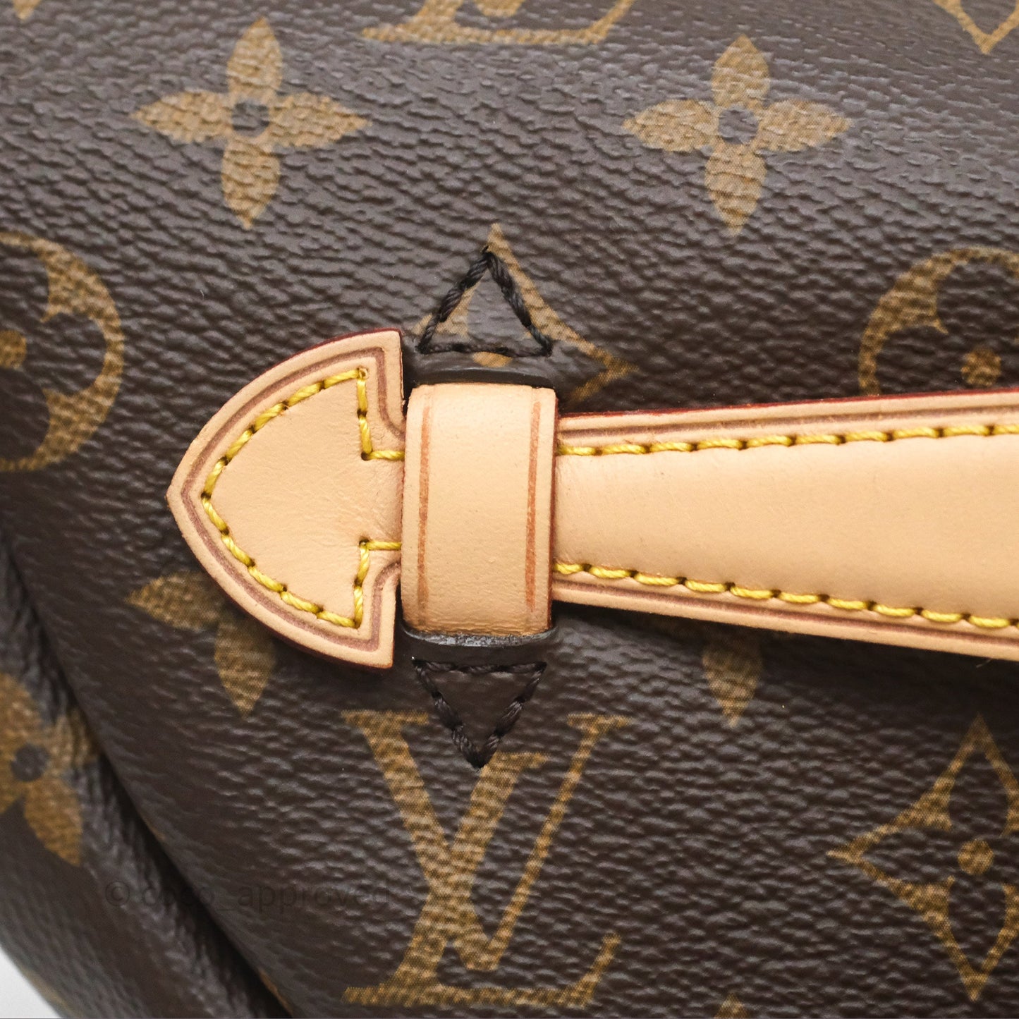 Louis Vuitton Bum Bag Monogram Canvas