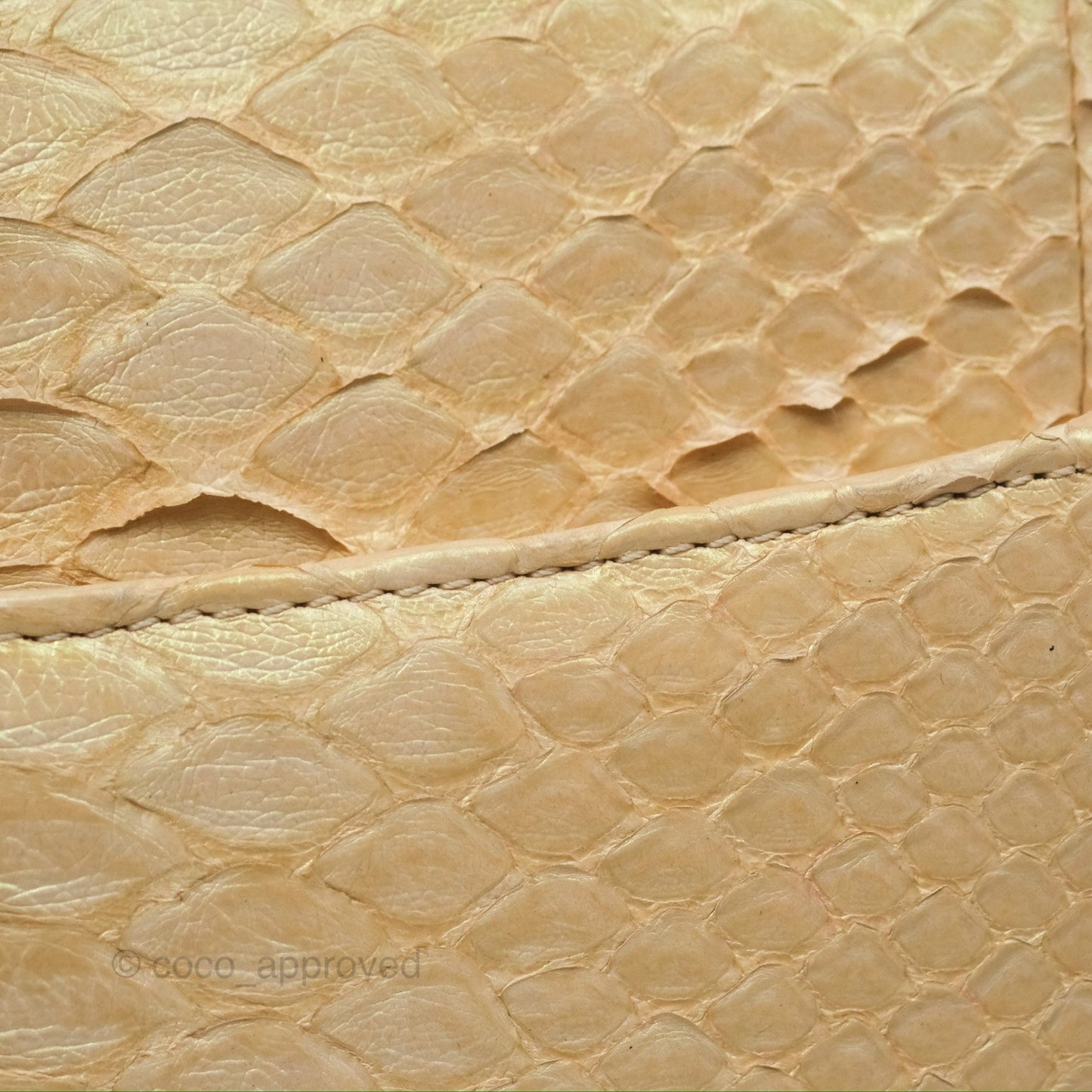 Chanel Jumbo Double Flap Iridescent Gold Python Gold Hardware⁣⁣