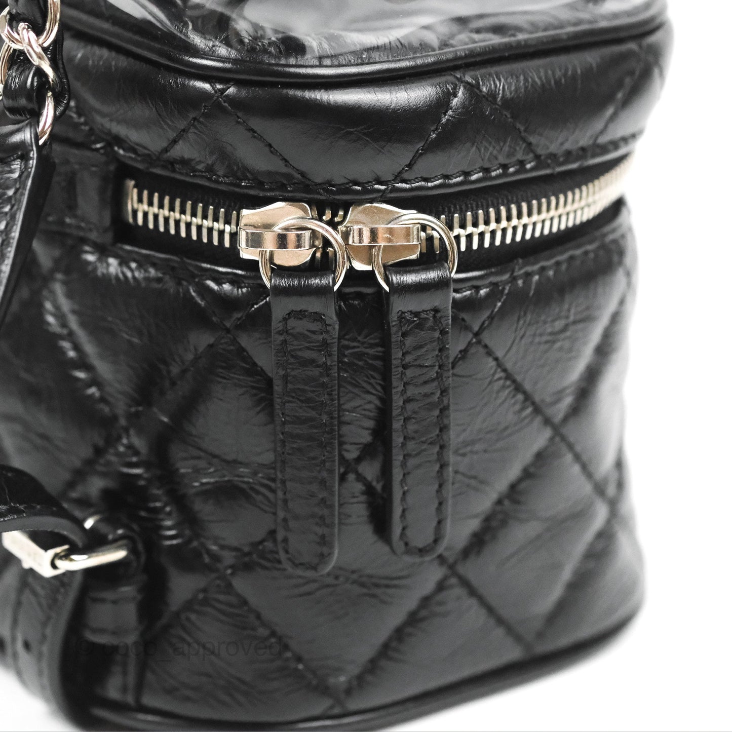 Chanel Aquarium PVC Backpack Black Crumpled Calfskin Silver Hardware