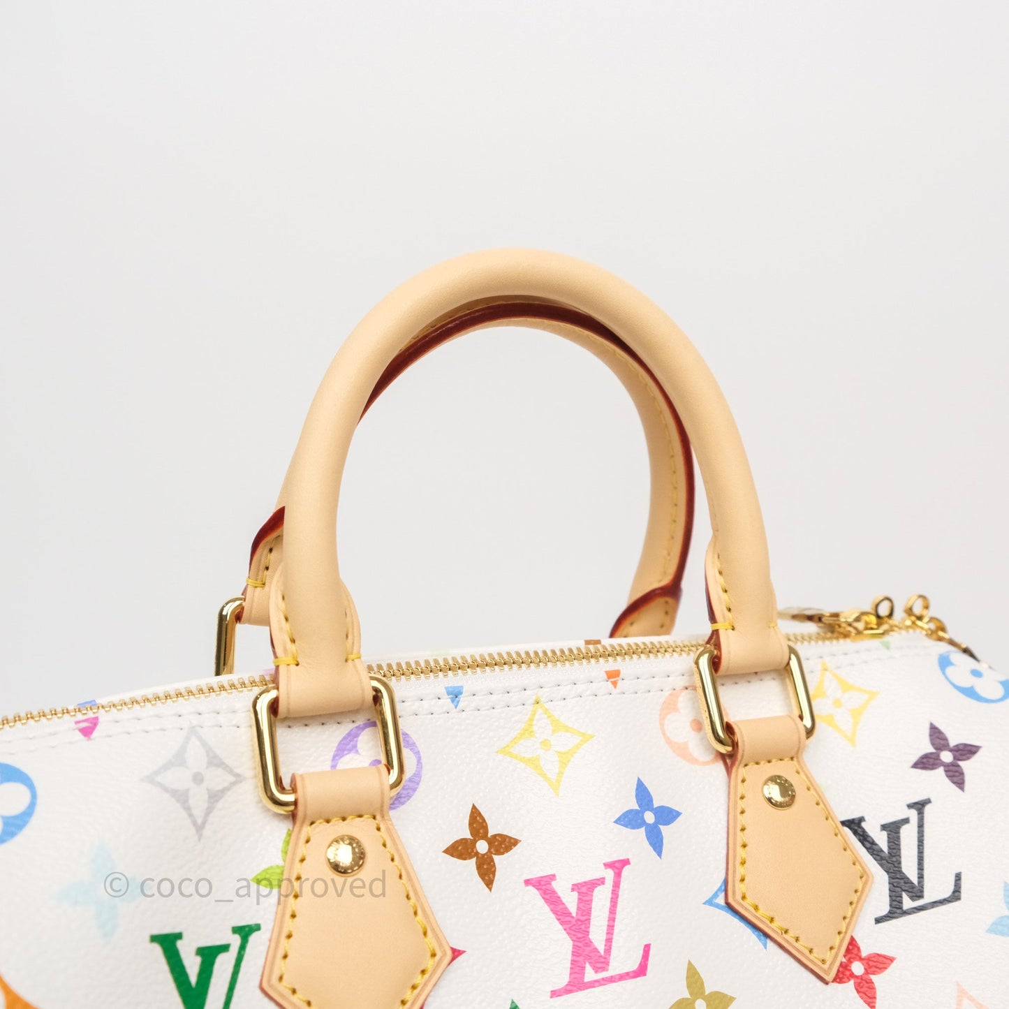 Louis Vuitton x TM Speedy Bandoulière 25