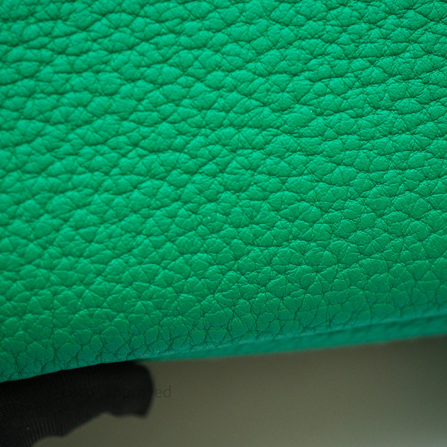 Hermès Garden Party 36 Canvas Ecru-Menthe / Menthe